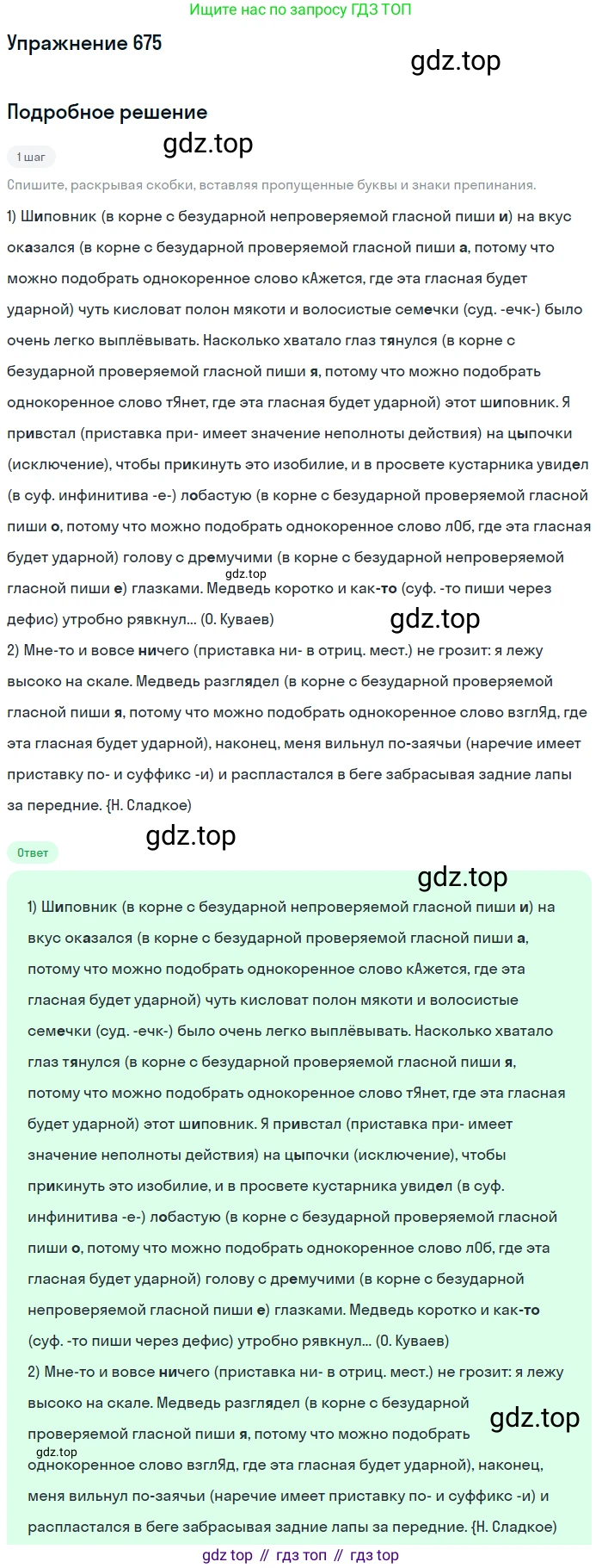 ГДЗ Русский язык, 6 класс Учебник, авторы: Разумовская Маргарита Михайловна, Львова Светлана Ивановна, Капинос Валентина Ивановна, Львов Валентин Витальевич, издательство Просвещение, Москва, 2019 - 2022, белого цвета, Часть 2, страница 106, номер 675, Решение 1