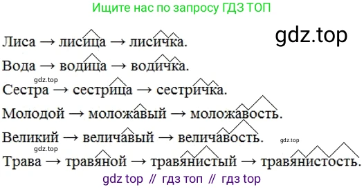 ГДЗ Русский язык, 6 класс Учебник, авторы: Разумовская Маргарита Михайловна, Львова Светлана Ивановна, Капинос Валентина Ивановна, Львов Валентин Витальевич, издательство Просвещение, Москва, 2019 - 2022, белого цвета, Часть 1, страница 63, номер 162, Решение 2