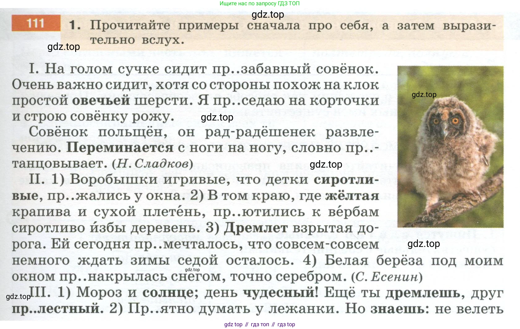 Русский язык, 6 класс Учебник, авторы: Разумовская Маргарита Михайловна, Львова Светлана Ивановна, Капинос Валентина Ивановна, Львов Валентин Витальевич, Соловейчик Марина Сергеевна, Сергеева Наталья Николаевна, Тронина Татьяна Сергеевна, издательство Просвещение, Москва, 2023, белого цвета, Часть 1, страница 45, номер 111, Условие 2023