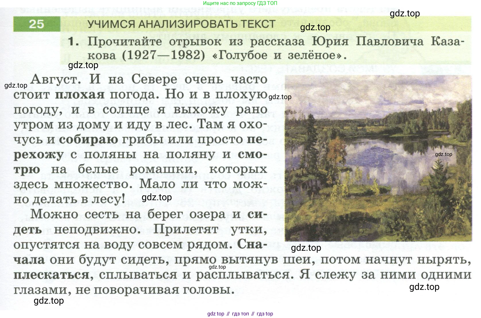 Русский язык, 6 класс Учебник, авторы: Разумовская Маргарита Михайловна, Львова Светлана Ивановна, Капинос Валентина Ивановна, Львов Валентин Витальевич, Соловейчик Марина Сергеевна, Сергеева Наталья Николаевна, Тронина Татьяна Сергеевна, издательство Просвещение, Москва, 2023, белого цвета, Часть 1, страница 17, номер 25, Условие 2023