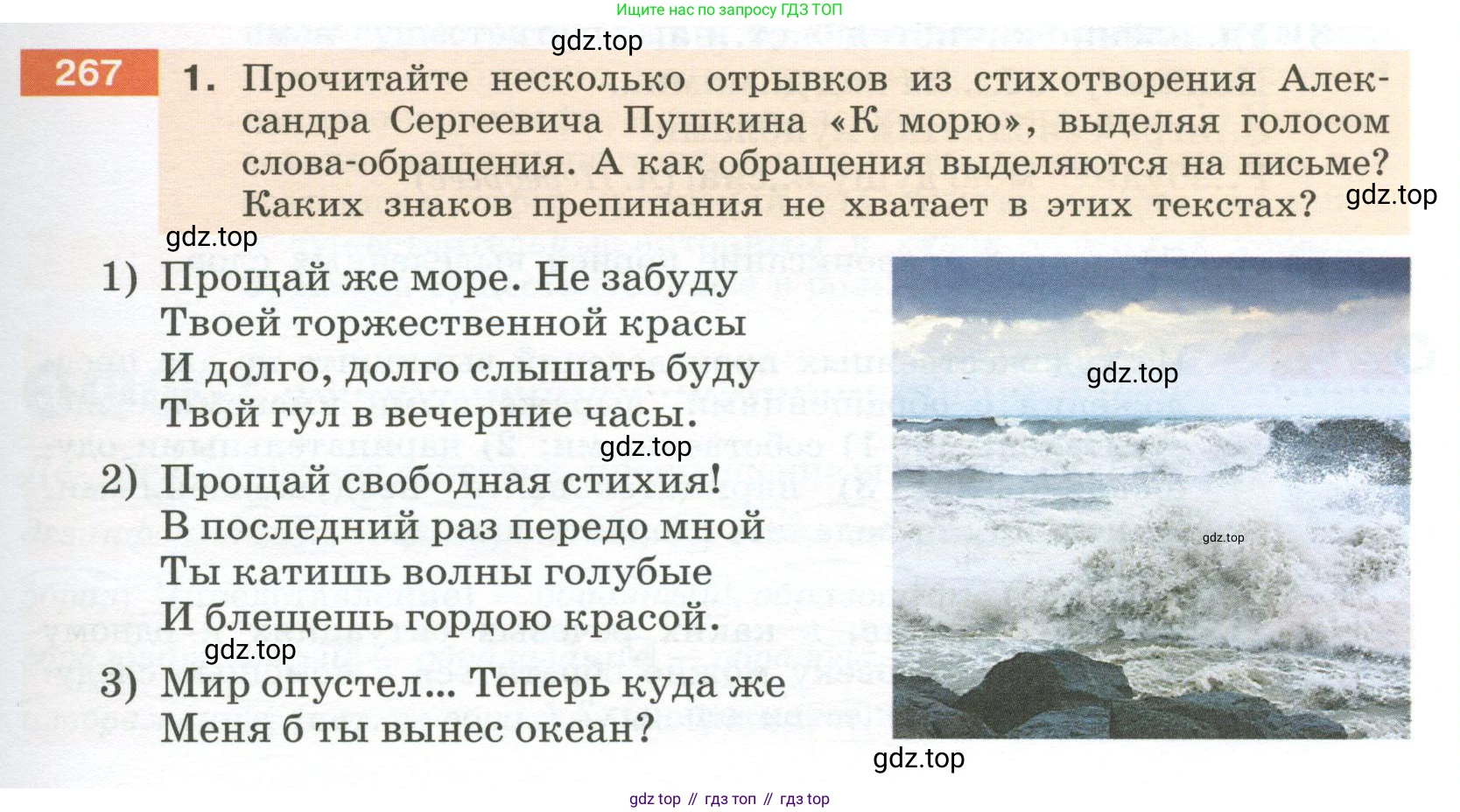 Русский язык, 6 класс Учебник, авторы: Разумовская Маргарита Михайловна, Львова Светлана Ивановна, Капинос Валентина Ивановна, Львов Валентин Витальевич, Соловейчик Марина Сергеевна, Сергеева Наталья Николаевна, Тронина Татьяна Сергеевна, издательство Просвещение, Москва, 2023, белого цвета, Часть 1, страница 101, номер 267, Условие 2023