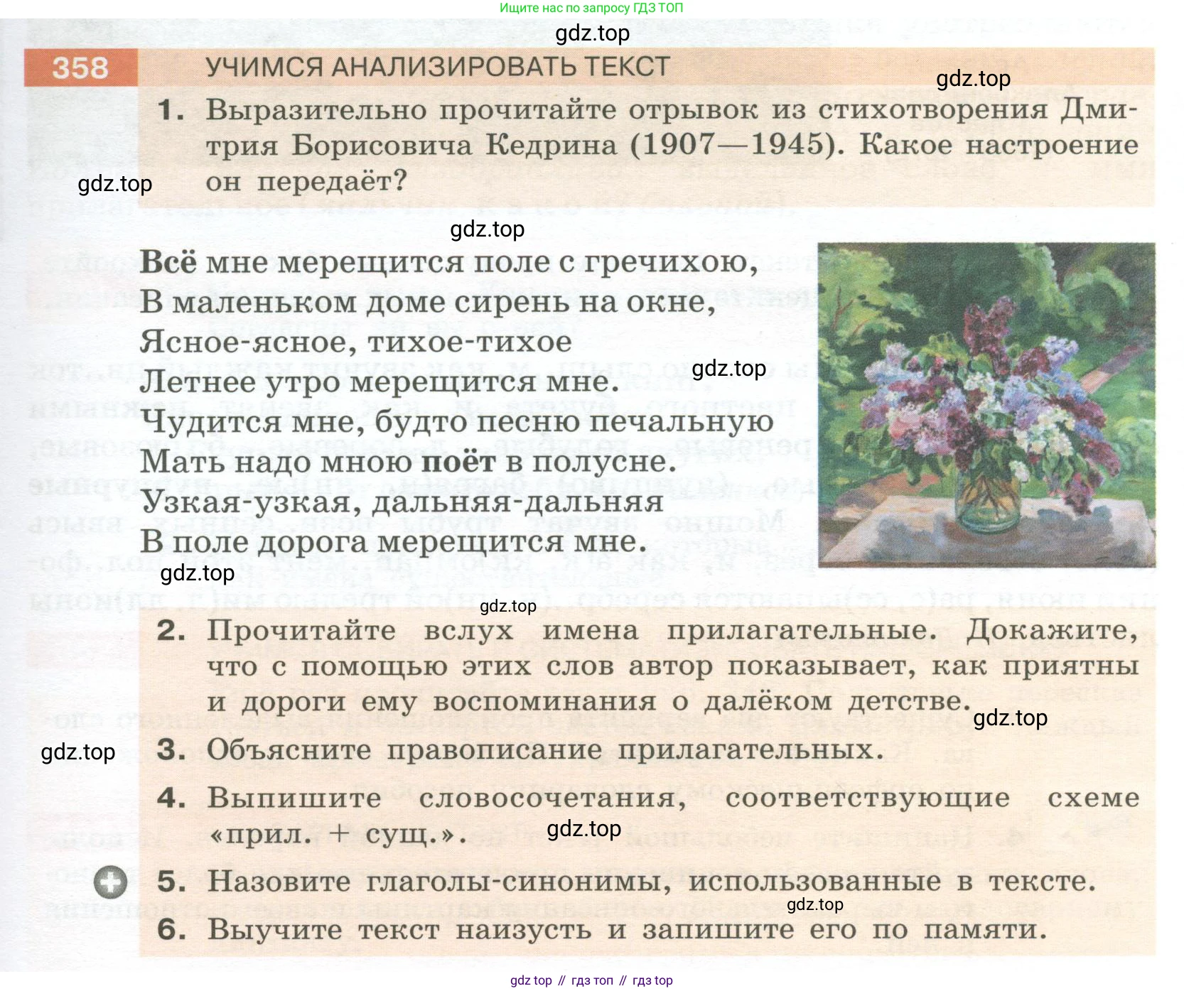 Русский язык, 6 класс Учебник, авторы: Разумовская Маргарита Михайловна, Львова Светлана Ивановна, Капинос Валентина Ивановна, Львов Валентин Витальевич, Соловейчик Марина Сергеевна, Сергеева Наталья Николаевна, Тронина Татьяна Сергеевна, издательство Просвещение, Москва, 2023, белого цвета, Часть 1, страница 133, номер 358, Условие 2023
