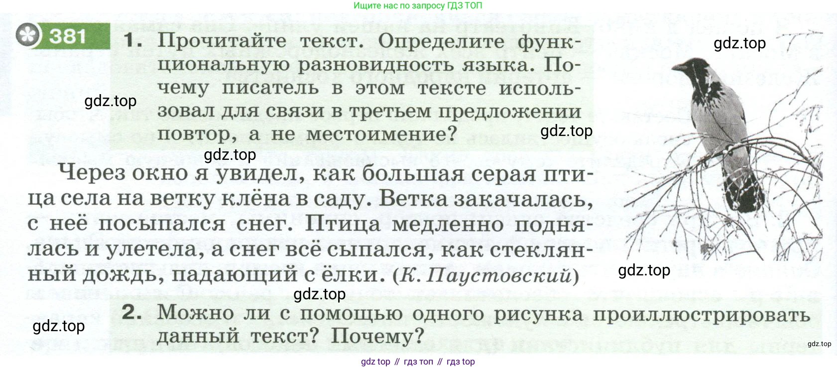 Русский язык, 6 класс Учебник, авторы: Разумовская Маргарита Михайловна, Львова Светлана Ивановна, Капинос Валентина Ивановна, Львов Валентин Витальевич, Соловейчик Марина Сергеевна, Сергеева Наталья Николаевна, Тронина Татьяна Сергеевна, издательство Просвещение, Москва, 2023, белого цвета, Часть 1, страница 142, номер 381, Условие 2023