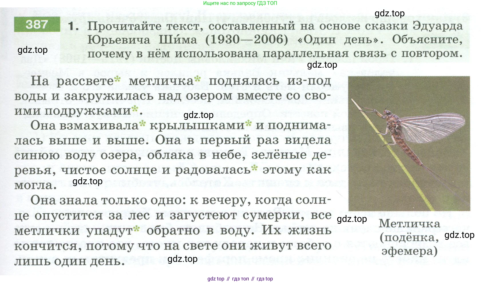 Русский язык, 6 класс Учебник, авторы: Разумовская Маргарита Михайловна, Львова Светлана Ивановна, Капинос Валентина Ивановна, Львов Валентин Витальевич, Соловейчик Марина Сергеевна, Сергеева Наталья Николаевна, Тронина Татьяна Сергеевна, издательство Просвещение, Москва, 2023, белого цвета, Часть 1, страница 143, номер 387, Условие 2023