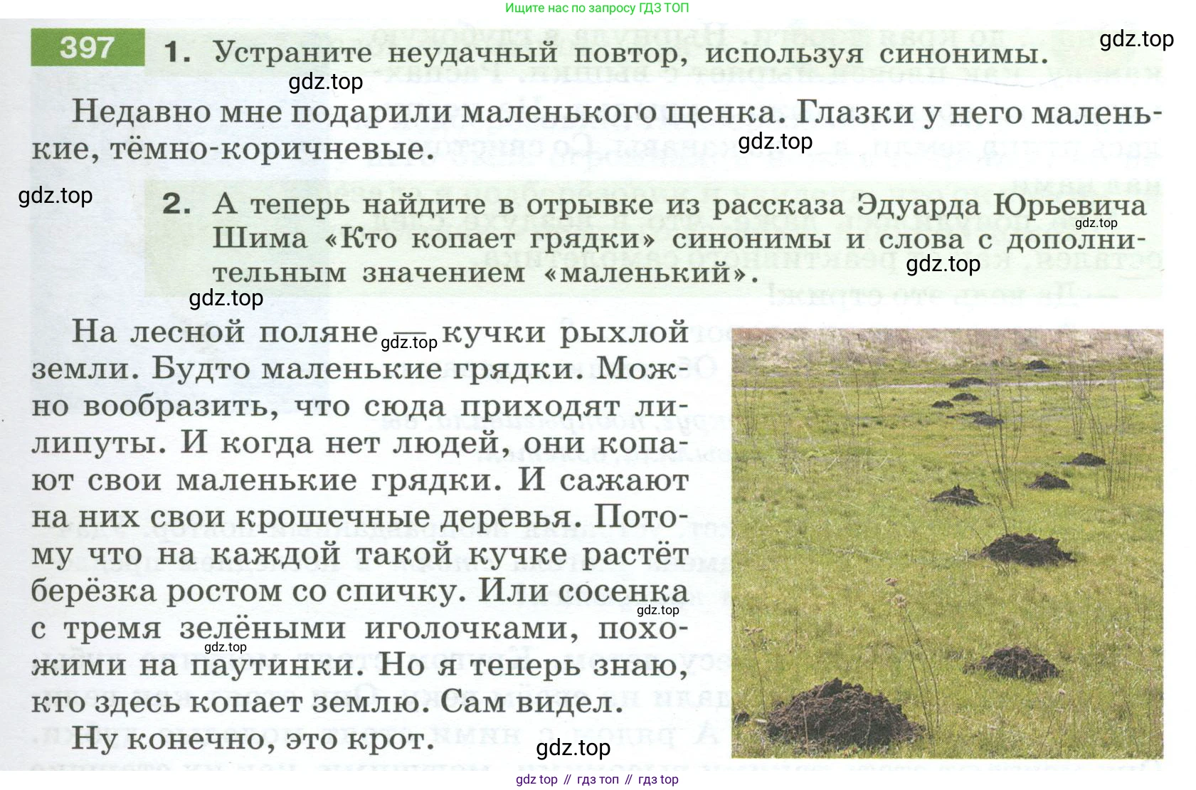 Русский язык, 6 класс Учебник, авторы: Разумовская Маргарита Михайловна, Львова Светлана Ивановна, Капинос Валентина Ивановна, Львов Валентин Витальевич, Соловейчик Марина Сергеевна, Сергеева Наталья Николаевна, Тронина Татьяна Сергеевна, издательство Просвещение, Москва, 2023, белого цвета, Часть 1, страница 147, номер 397, Условие 2023