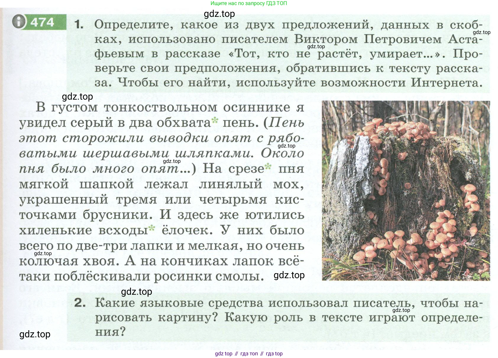 Русский язык, 6 класс Учебник, авторы: Разумовская Маргарита Михайловна, Львова Светлана Ивановна, Капинос Валентина Ивановна, Львов Валентин Витальевич, Соловейчик Марина Сергеевна, Сергеева Наталья Николаевна, Тронина Татьяна Сергеевна, издательство Просвещение, Москва, 2023, белого цвета, Часть 2, страница 29, номер 474, Условие 2023