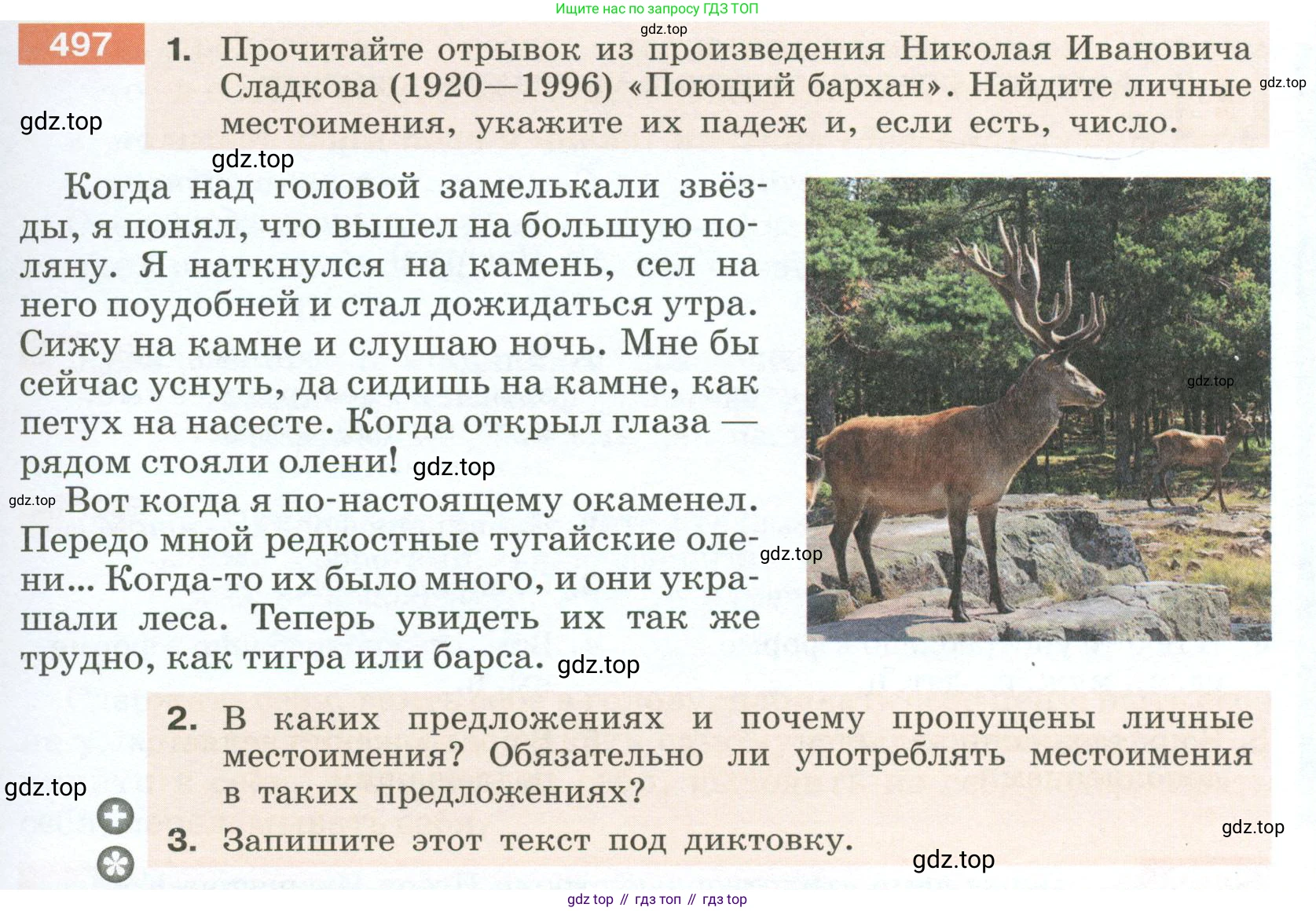 Русский язык, 6 класс Учебник, авторы: Разумовская Маргарита Михайловна, Львова Светлана Ивановна, Капинос Валентина Ивановна, Львов Валентин Витальевич, Соловейчик Марина Сергеевна, Сергеева Наталья Николаевна, Тронина Татьяна Сергеевна, издательство Просвещение, Москва, 2023, белого цвета, Часть 2, страница 39, номер 497, Условие 2023