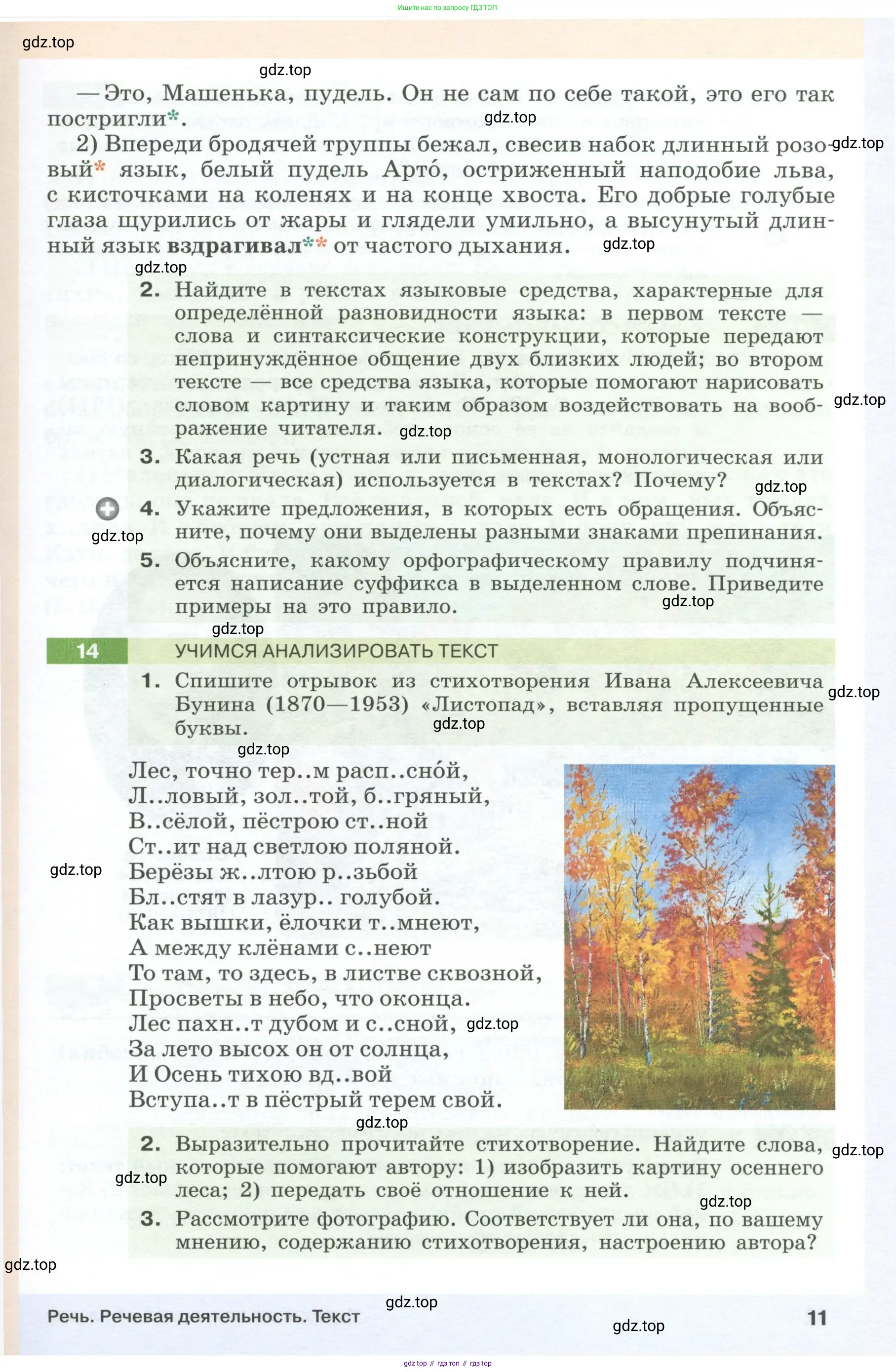 Русский язык, 6 класс Учебник, авторы: Разумовская Маргарита Михайловна, Львова Светлана Ивановна, Капинос Валентина Ивановна, Львов Валентин Витальевич, Соловейчик Марина Сергеевна, Сергеева Наталья Николаевна, Тронина Татьяна Сергеевна, издательство Просвещение, Москва, 2023, белого цвета, Часть 1, страница 11