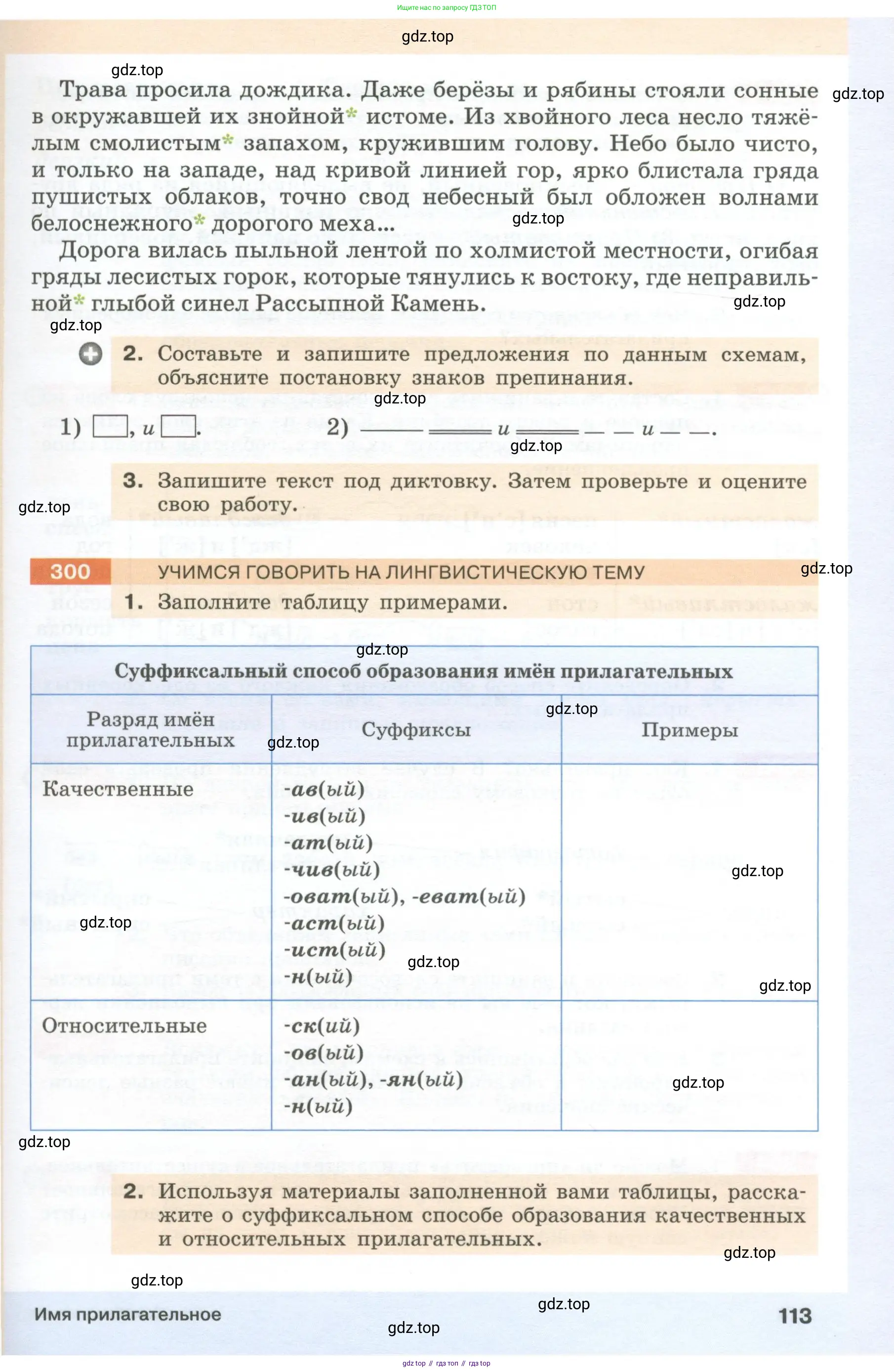 Русский язык, 6 класс Учебник, авторы: Разумовская Маргарита Михайловна, Львова Светлана Ивановна, Капинос Валентина Ивановна, Львов Валентин Витальевич, Соловейчик Марина Сергеевна, Сергеева Наталья Николаевна, Тронина Татьяна Сергеевна, издательство Просвещение, Москва, 2023, белого цвета, Часть 1, страница 113