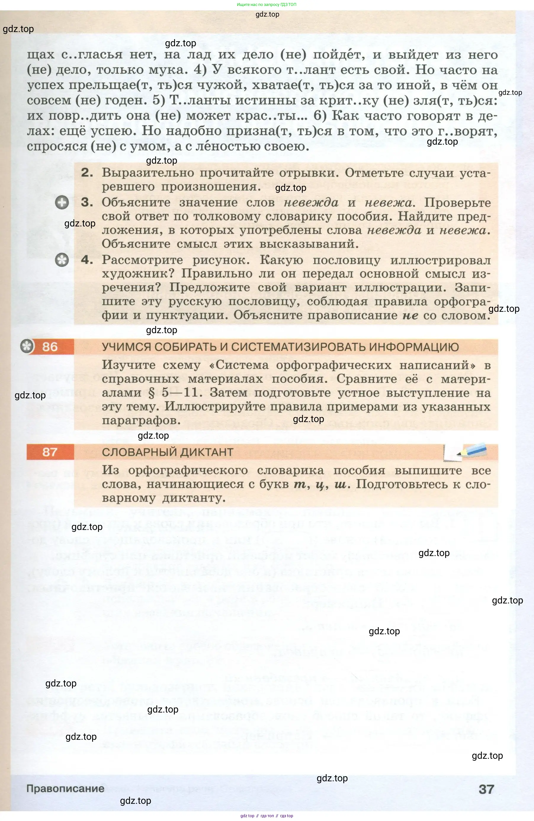 Русский язык, 6 класс Учебник, авторы: Разумовская Маргарита Михайловна, Львова Светлана Ивановна, Капинос Валентина Ивановна, Львов Валентин Витальевич, Соловейчик Марина Сергеевна, Сергеева Наталья Николаевна, Тронина Татьяна Сергеевна, издательство Просвещение, Москва, 2023, белого цвета, Часть 1, страница 37