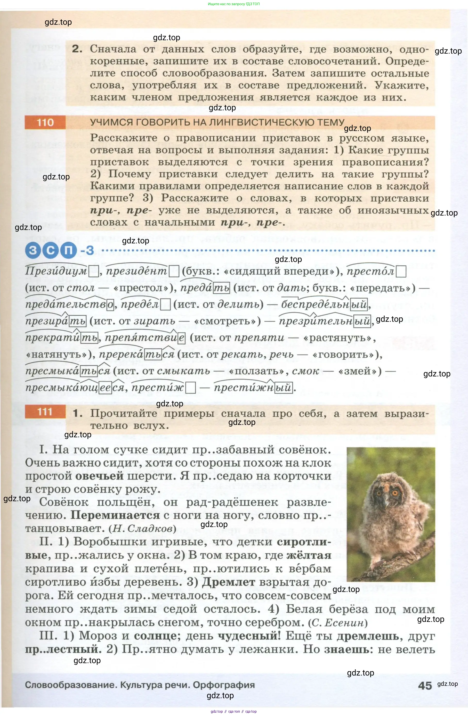 Русский язык, 6 класс Учебник, авторы: Разумовская Маргарита Михайловна, Львова Светлана Ивановна, Капинос Валентина Ивановна, Львов Валентин Витальевич, Соловейчик Марина Сергеевна, Сергеева Наталья Николаевна, Тронина Татьяна Сергеевна, издательство Просвещение, Москва, 2023, белого цвета, Часть 1, страница 45