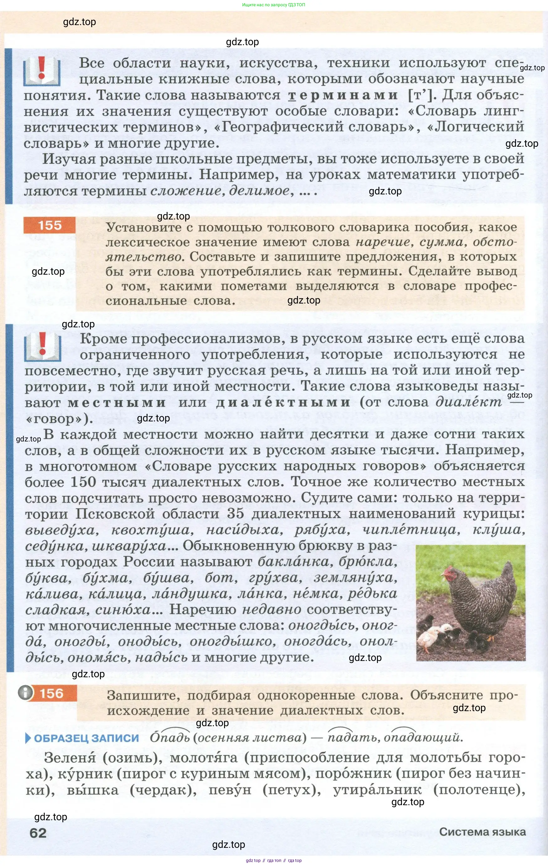 Русский язык, 6 класс Учебник, авторы: Разумовская Маргарита Михайловна, Львова Светлана Ивановна, Капинос Валентина Ивановна, Львов Валентин Витальевич, Соловейчик Марина Сергеевна, Сергеева Наталья Николаевна, Тронина Татьяна Сергеевна, издательство Просвещение, Москва, 2023, белого цвета, Часть 1, страница 62