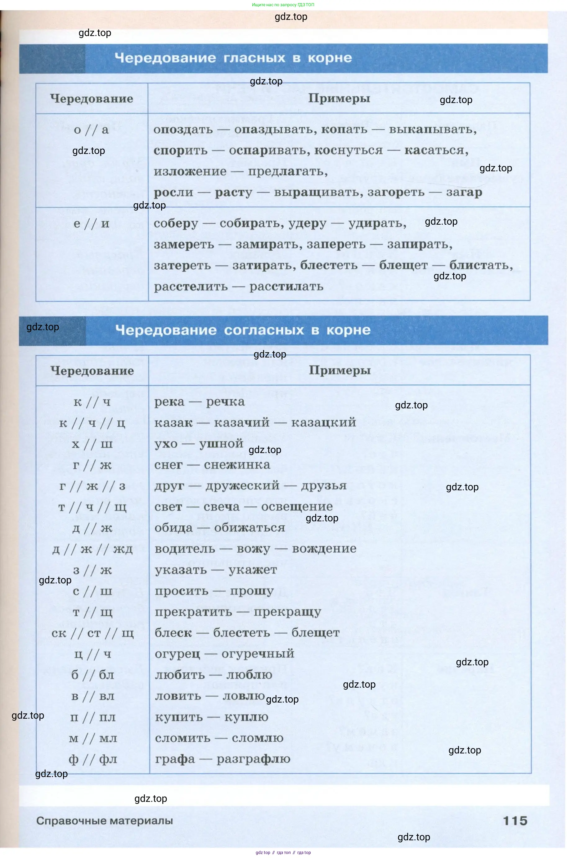 Русский язык, 6 класс Учебник, авторы: Разумовская Маргарита Михайловна, Львова Светлана Ивановна, Капинос Валентина Ивановна, Львов Валентин Витальевич, Соловейчик Марина Сергеевна, Сергеева Наталья Николаевна, Тронина Татьяна Сергеевна, издательство Просвещение, Москва, 2023, белого цвета, Часть 1, страница 115