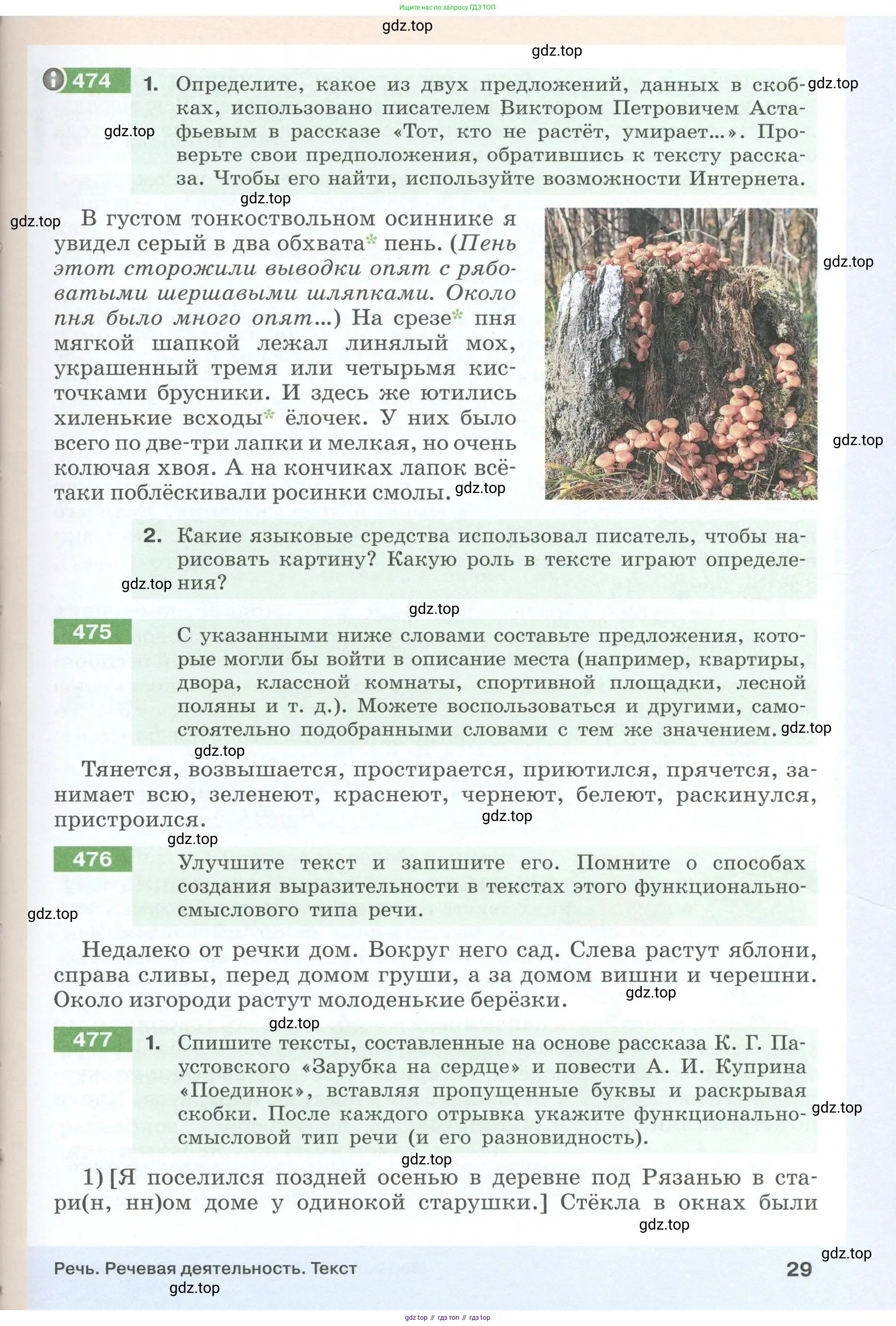 Русский язык, 6 класс Учебник, авторы: Разумовская Маргарита Михайловна, Львова Светлана Ивановна, Капинос Валентина Ивановна, Львов Валентин Витальевич, Соловейчик Марина Сергеевна, Сергеева Наталья Николаевна, Тронина Татьяна Сергеевна, издательство Просвещение, Москва, 2023, белого цвета, Часть 1, страница 29