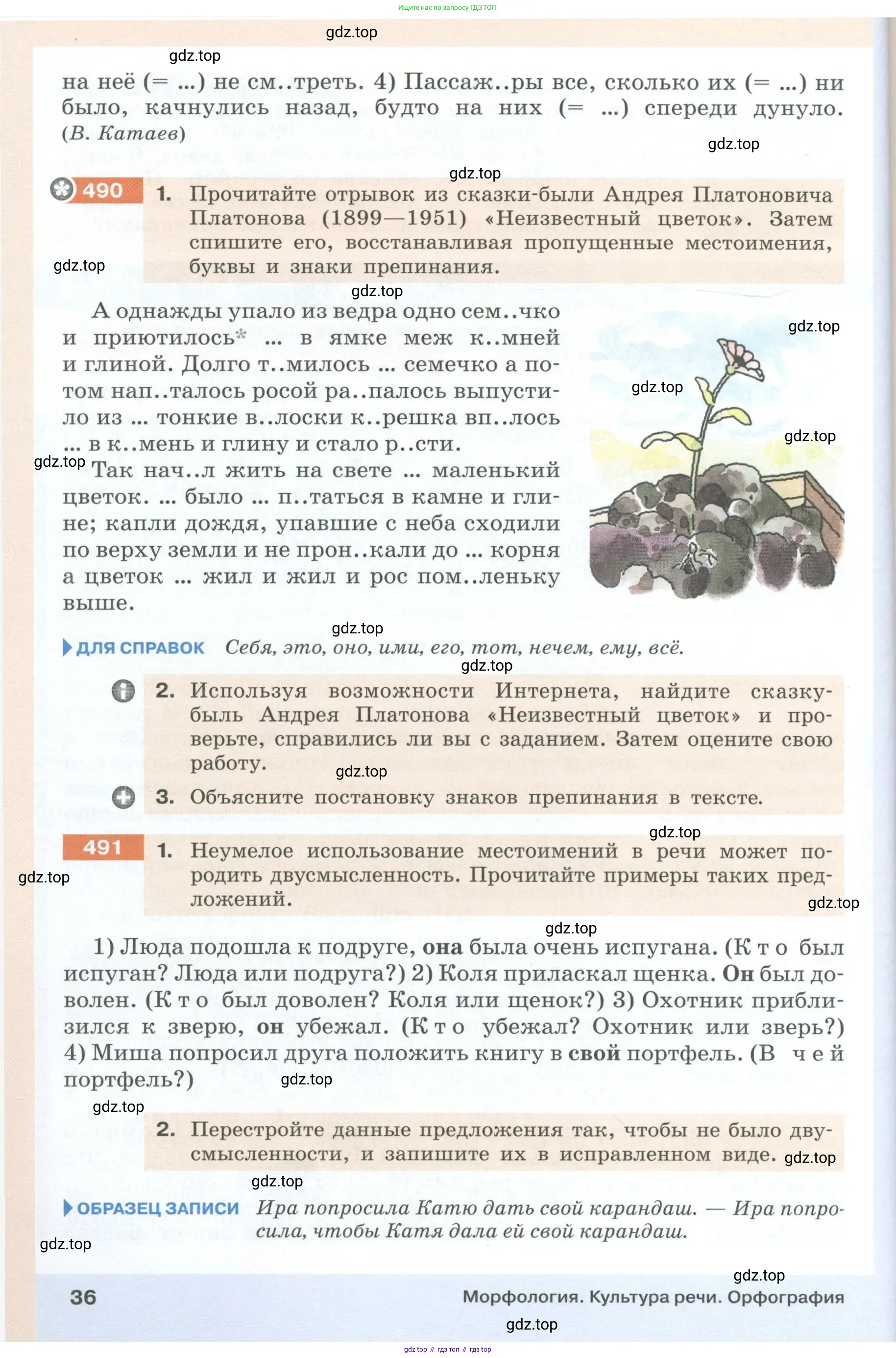 Русский язык, 6 класс Учебник, авторы: Разумовская Маргарита Михайловна, Львова Светлана Ивановна, Капинос Валентина Ивановна, Львов Валентин Витальевич, Соловейчик Марина Сергеевна, Сергеева Наталья Николаевна, Тронина Татьяна Сергеевна, издательство Просвещение, Москва, 2023, белого цвета, Часть 1, страница 36
