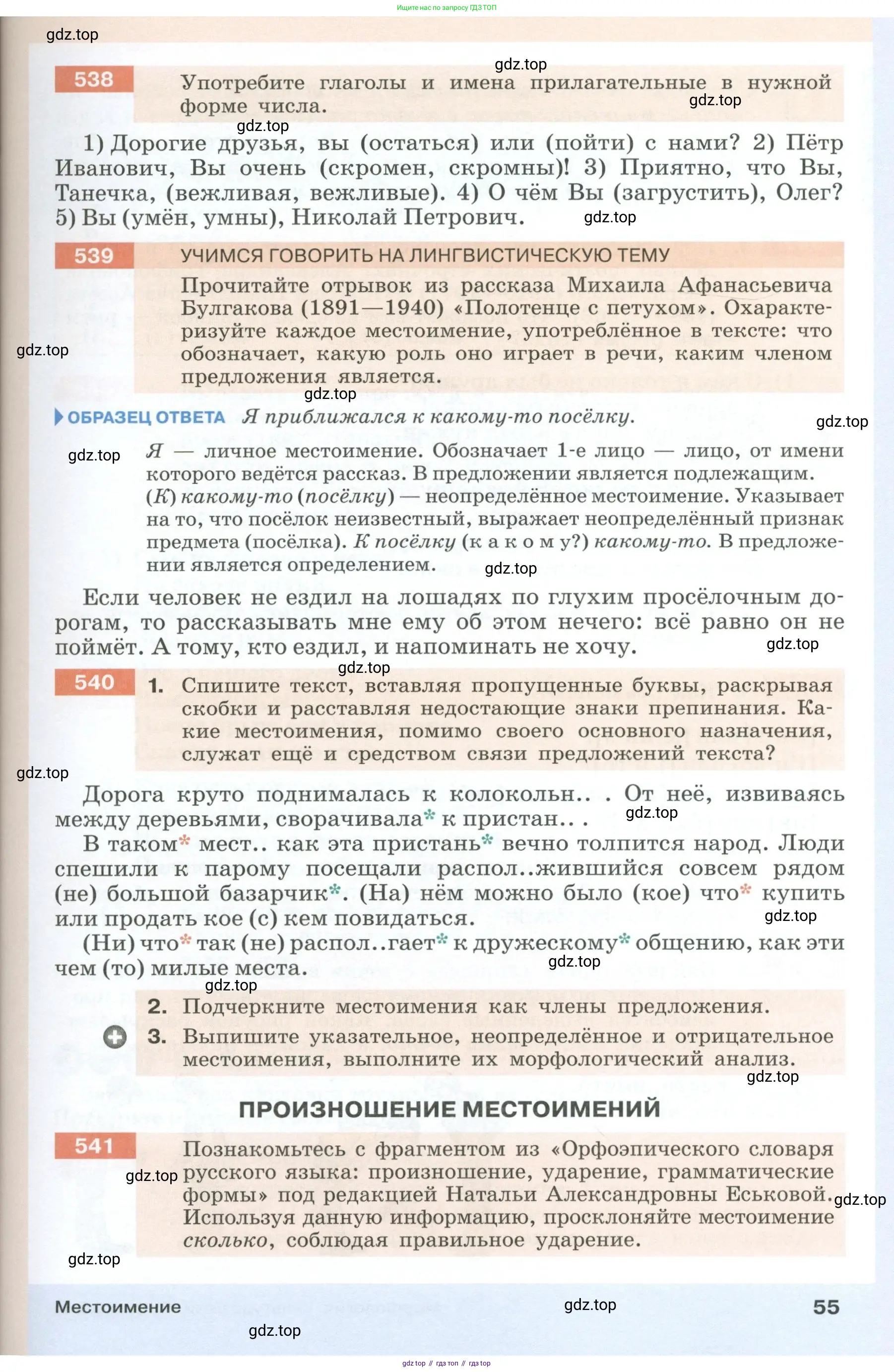 Русский язык, 6 класс Учебник, авторы: Разумовская Маргарита Михайловна, Львова Светлана Ивановна, Капинос Валентина Ивановна, Львов Валентин Витальевич, Соловейчик Марина Сергеевна, Сергеева Наталья Николаевна, Тронина Татьяна Сергеевна, издательство Просвещение, Москва, 2023, белого цвета, Часть 1, страница 55