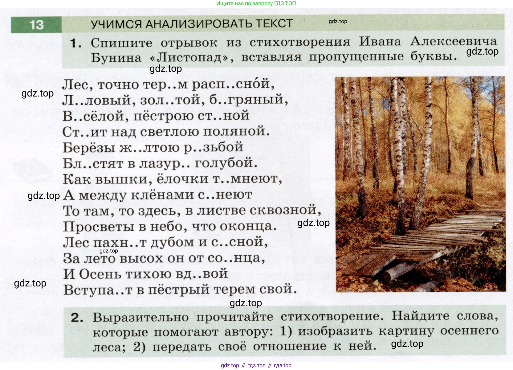 Русский язык, 6 класс Учебник, авторы: Разумовская Маргарита Михайловна, Львова Светлана Ивановна, Капинос Валентина Ивановна, Львов Валентин Витальевич, Соловейчик Марина Сергеевна, Сергеева Наталья Николаевна, Тронина Татьяна Сергеевна, издательство Просвещение, Москва, 2023, белого цвета, Часть 1, страница 10, номер 13, Условие (2022)