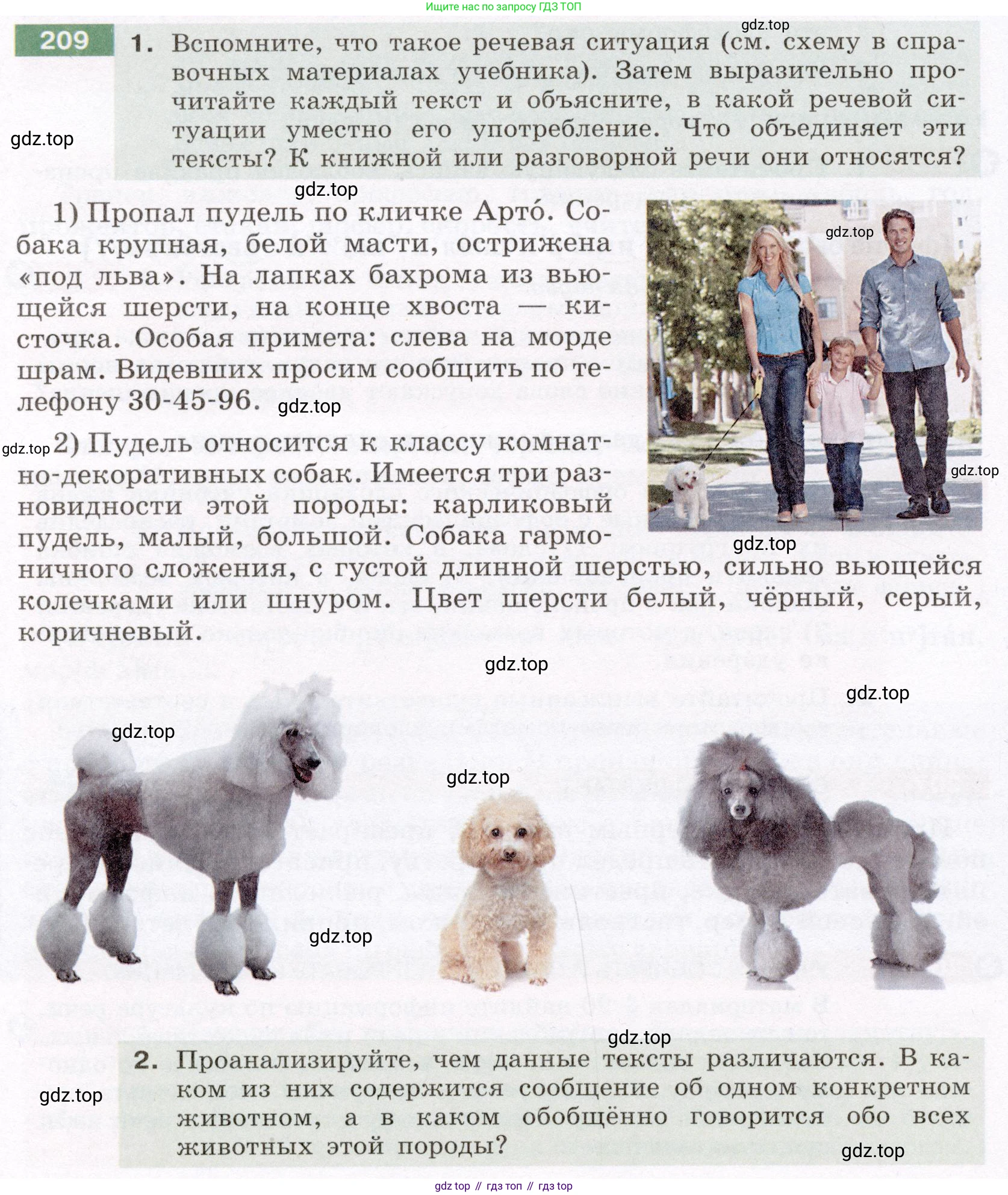 Русский язык, 6 класс Учебник, авторы: Разумовская Маргарита Михайловна, Львова Светлана Ивановна, Капинос Валентина Ивановна, Львов Валентин Витальевич, Соловейчик Марина Сергеевна, Сергеева Наталья Николаевна, Тронина Татьяна Сергеевна, издательство Просвещение, Москва, 2023, белого цвета, Часть 1, страница 82, номер 209, Условие (2022)