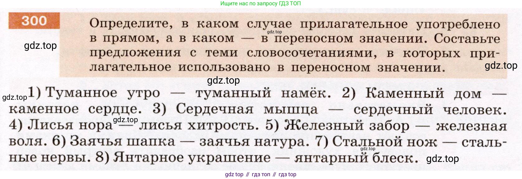 Русский язык, 6 класс Учебник, авторы: Разумовская Маргарита Михайловна, Львова Светлана Ивановна, Капинос Валентина Ивановна, Львов Валентин Витальевич, Соловейчик Марина Сергеевна, Сергеева Наталья Николаевна, Тронина Татьяна Сергеевна, издательство Просвещение, Москва, 2023, белого цвета, Часть 1, страница 113, номер 300, Условие (2022)