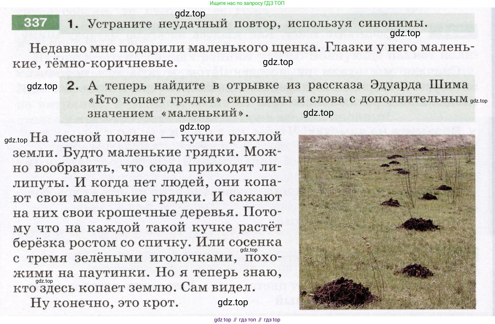 Русский язык, 6 класс Учебник, авторы: Разумовская Маргарита Михайловна, Львова Светлана Ивановна, Капинос Валентина Ивановна, Львов Валентин Витальевич, Соловейчик Марина Сергеевна, Сергеева Наталья Николаевна, Тронина Татьяна Сергеевна, издательство Просвещение, Москва, 2023, белого цвета, Часть 1, страница 125, номер 337, Условие (2022)