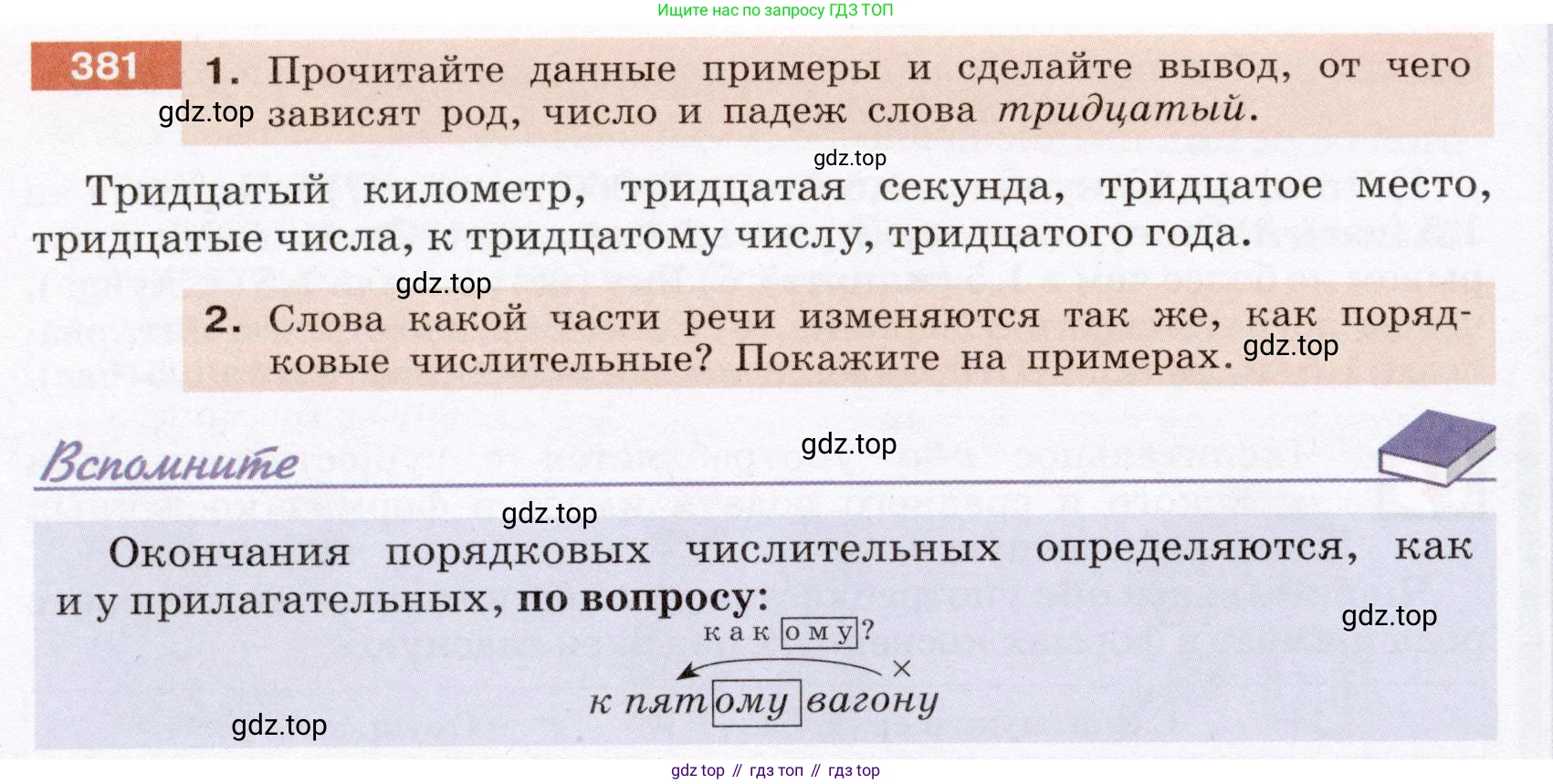 Русский язык, 6 класс Учебник, авторы: Разумовская Маргарита Михайловна, Львова Светлана Ивановна, Капинос Валентина Ивановна, Львов Валентин Витальевич, Соловейчик Марина Сергеевна, Сергеева Наталья Николаевна, Тронина Татьяна Сергеевна, издательство Просвещение, Москва, 2023, белого цвета, Часть 1, страница 142, номер 381, Условие (2022)
