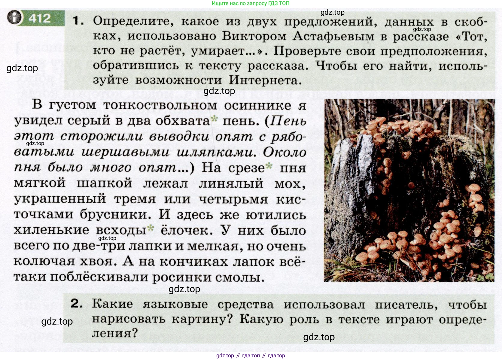 Русский язык, 6 класс Учебник, авторы: Разумовская Маргарита Михайловна, Львова Светлана Ивановна, Капинос Валентина Ивановна, Львов Валентин Витальевич, Соловейчик Марина Сергеевна, Сергеева Наталья Николаевна, Тронина Татьяна Сергеевна, издательство Просвещение, Москва, 2023, белого цвета, Часть 2, страница 6, номер 412, Условие (2022)