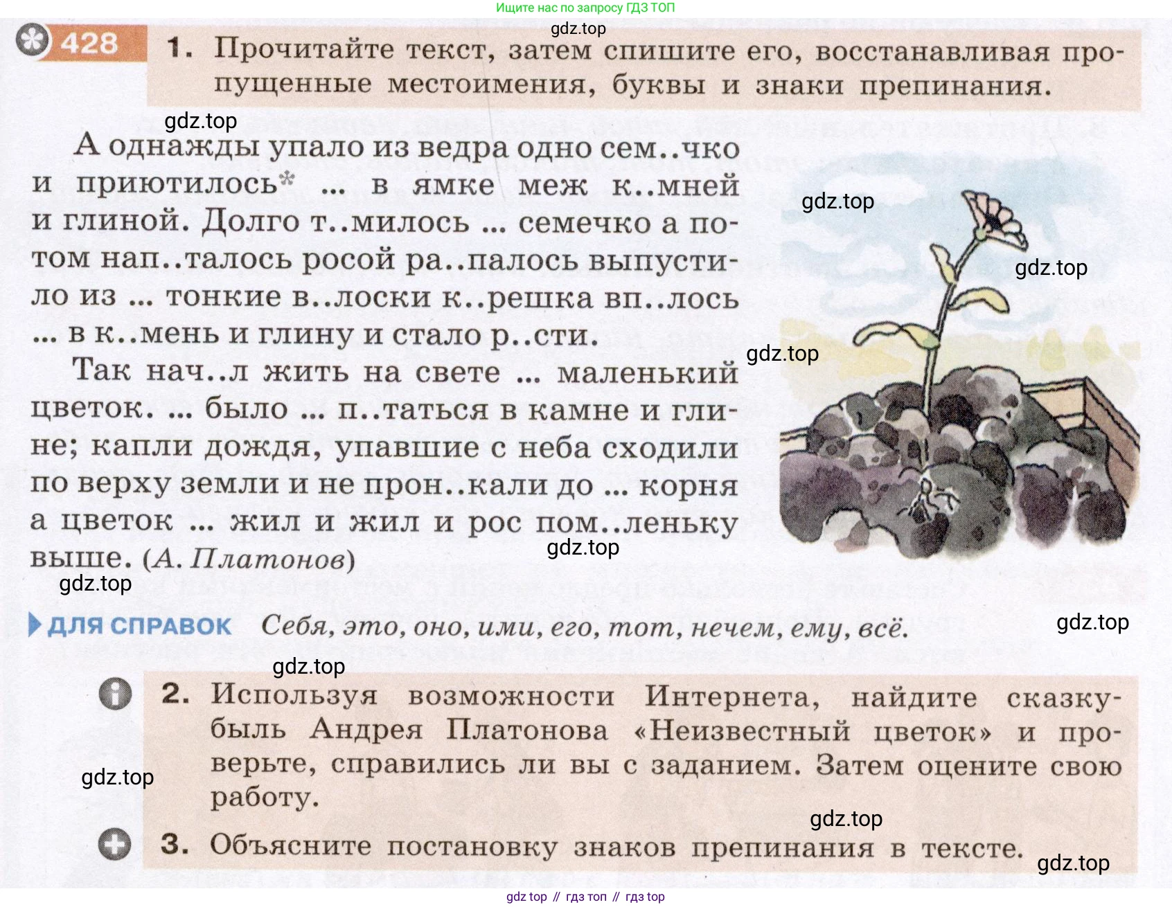 Русский язык, 6 класс Учебник, авторы: Разумовская Маргарита Михайловна, Львова Светлана Ивановна, Капинос Валентина Ивановна, Львов Валентин Витальевич, Соловейчик Марина Сергеевна, Сергеева Наталья Николаевна, Тронина Татьяна Сергеевна, издательство Просвещение, Москва, 2023, белого цвета, Часть 2, страница 11, номер 428, Условие (2022)