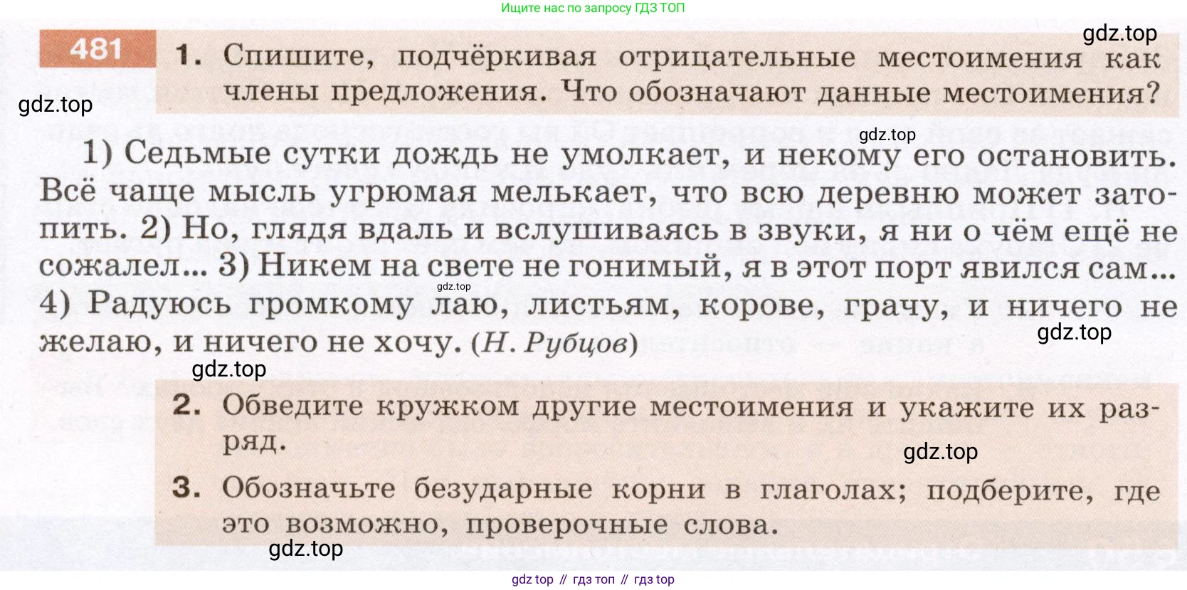 Русский язык, 6 класс Учебник, авторы: Разумовская Маргарита Михайловна, Львова Светлана Ивановна, Капинос Валентина Ивановна, Львов Валентин Витальевич, Соловейчик Марина Сергеевна, Сергеева Наталья Николаевна, Тронина Татьяна Сергеевна, издательство Просвещение, Москва, 2023, белого цвета, Часть 2, страница 32, номер 481, Условие (2022)