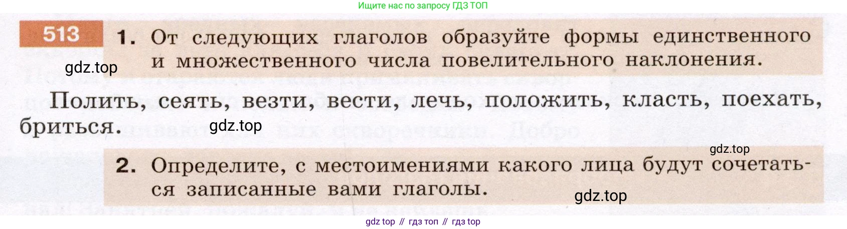 Русский язык, 6 класс Учебник, авторы: Разумовская Маргарита Михайловна, Львова Светлана Ивановна, Капинос Валентина Ивановна, Львов Валентин Витальевич, Соловейчик Марина Сергеевна, Сергеева Наталья Николаевна, Тронина Татьяна Сергеевна, издательство Просвещение, Москва, 2023, белого цвета, Часть 2, страница 45, номер 513, Условие (2022)
