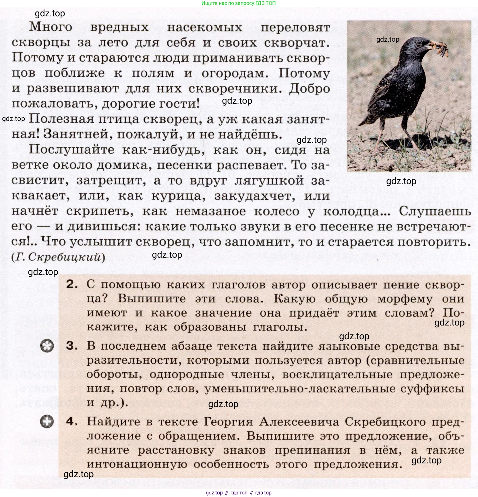 Русский язык, 6 класс Учебник, авторы: Разумовская Маргарита Михайловна, Львова Светлана Ивановна, Капинос Валентина Ивановна, Львов Валентин Витальевич, Соловейчик Марина Сергеевна, Сергеева Наталья Николаевна, Тронина Татьяна Сергеевна, издательство Просвещение, Москва, 2023, белого цвета, Часть 2, страница 47, номер 519, Условие (2022) (продолжение 2)