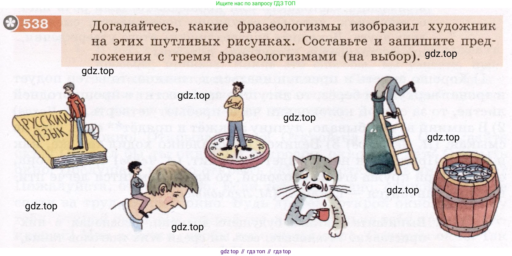 Русский язык, 6 класс Учебник, авторы: Разумовская Маргарита Михайловна, Львова Светлана Ивановна, Капинос Валентина Ивановна, Львов Валентин Витальевич, Соловейчик Марина Сергеевна, Сергеева Наталья Николаевна, Тронина Татьяна Сергеевна, издательство Просвещение, Москва, 2023, белого цвета, Часть 2, страница 55, номер 538, Условие (2022)