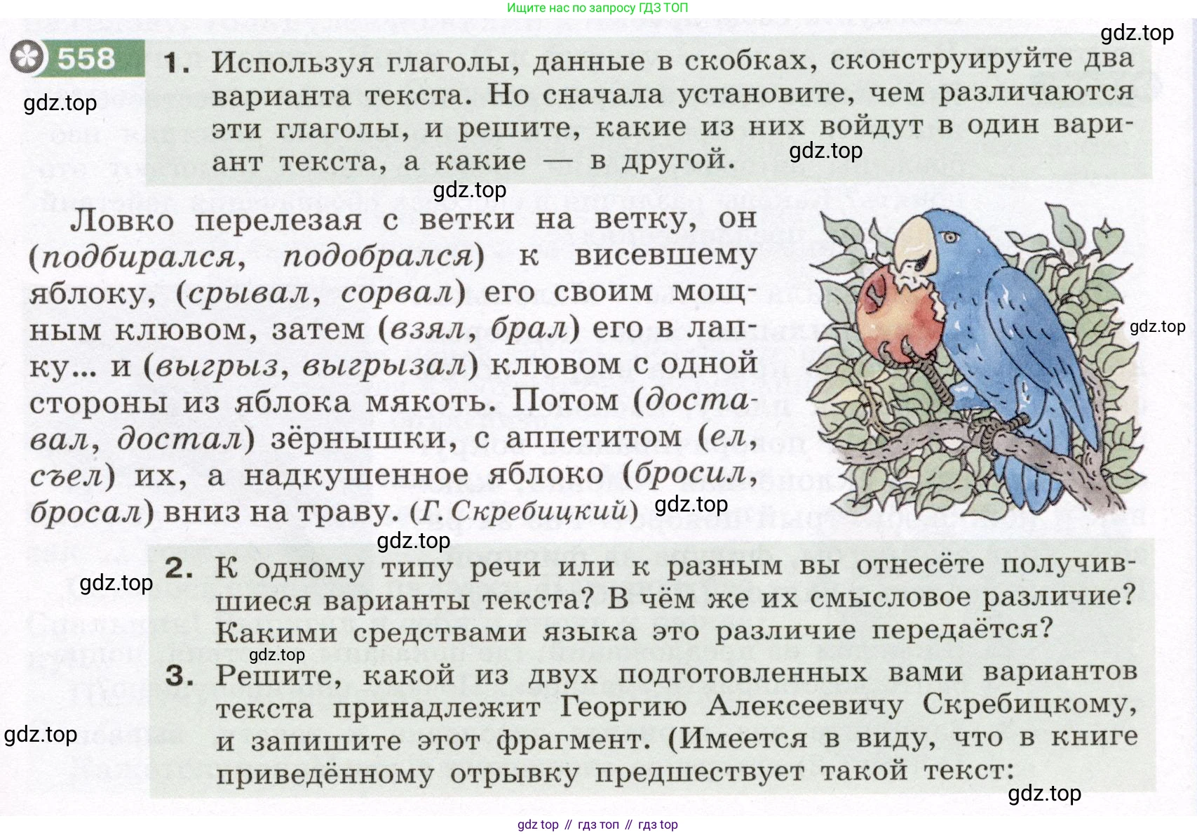 Русский язык, 6 класс Учебник, авторы: Разумовская Маргарита Михайловна, Львова Светлана Ивановна, Капинос Валентина Ивановна, Львов Валентин Витальевич, Соловейчик Марина Сергеевна, Сергеева Наталья Николаевна, Тронина Татьяна Сергеевна, издательство Просвещение, Москва, 2023, белого цвета, Часть 2, страница 62, номер 558, Условие (2022)