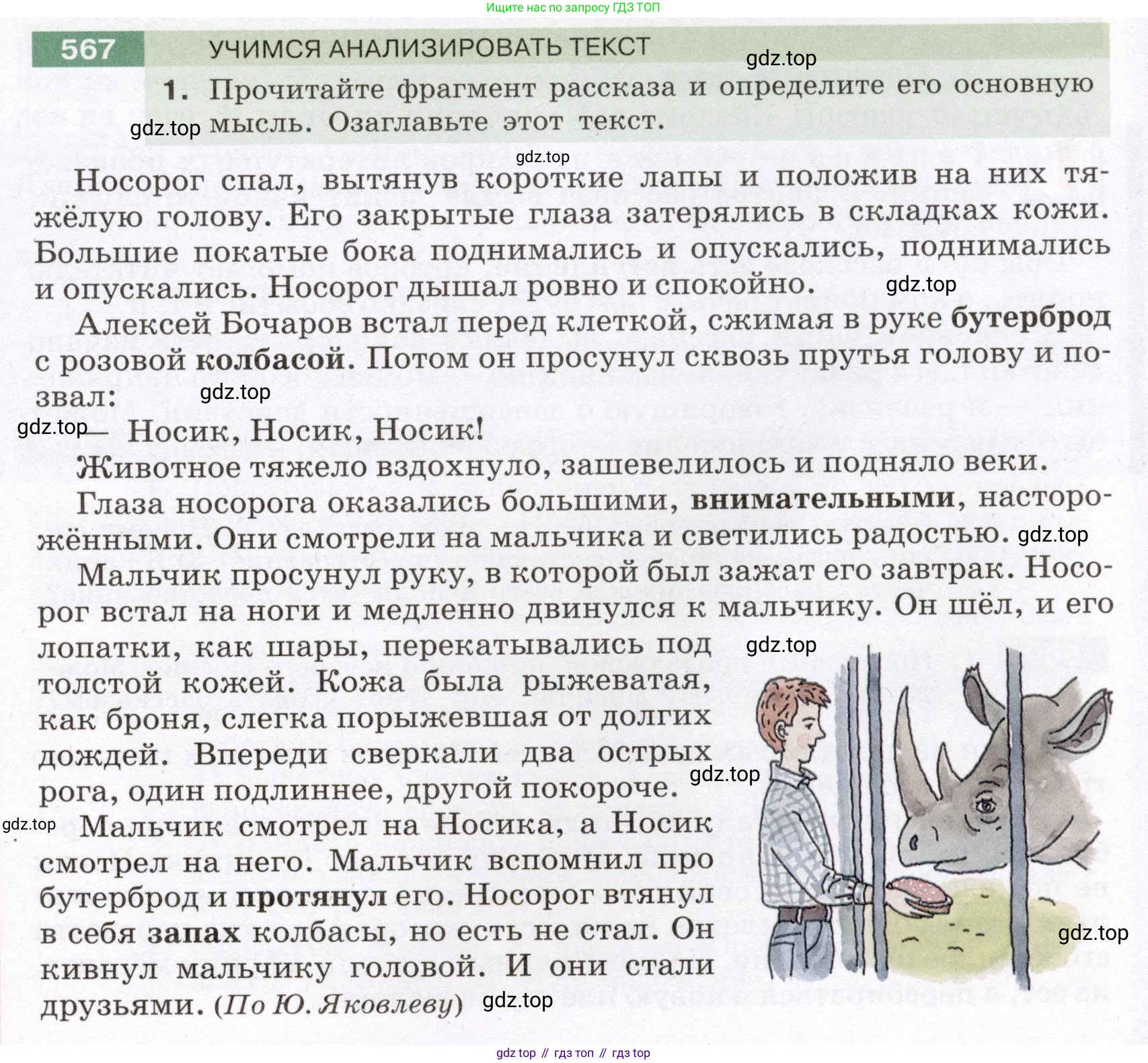 Русский язык, 6 класс Учебник, авторы: Разумовская Маргарита Михайловна, Львова Светлана Ивановна, Капинос Валентина Ивановна, Львов Валентин Витальевич, Соловейчик Марина Сергеевна, Сергеева Наталья Николаевна, Тронина Татьяна Сергеевна, издательство Просвещение, Москва, 2023, белого цвета, Часть 2, страница 64, номер 567, Условие (2022)