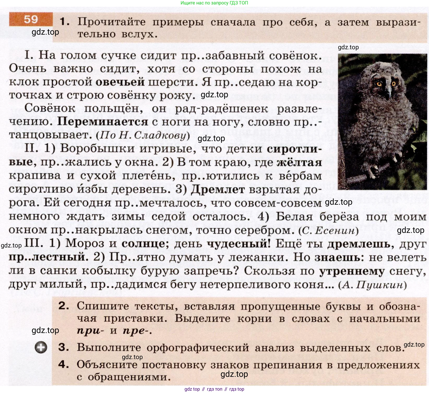 Русский язык, 6 класс Учебник, авторы: Разумовская Маргарита Михайловна, Львова Светлана Ивановна, Капинос Валентина Ивановна, Львов Валентин Витальевич, Соловейчик Марина Сергеевна, Сергеева Наталья Николаевна, Тронина Татьяна Сергеевна, издательство Просвещение, Москва, 2023, белого цвета, Часть 1, страница 27, номер 59, Условие (2022)