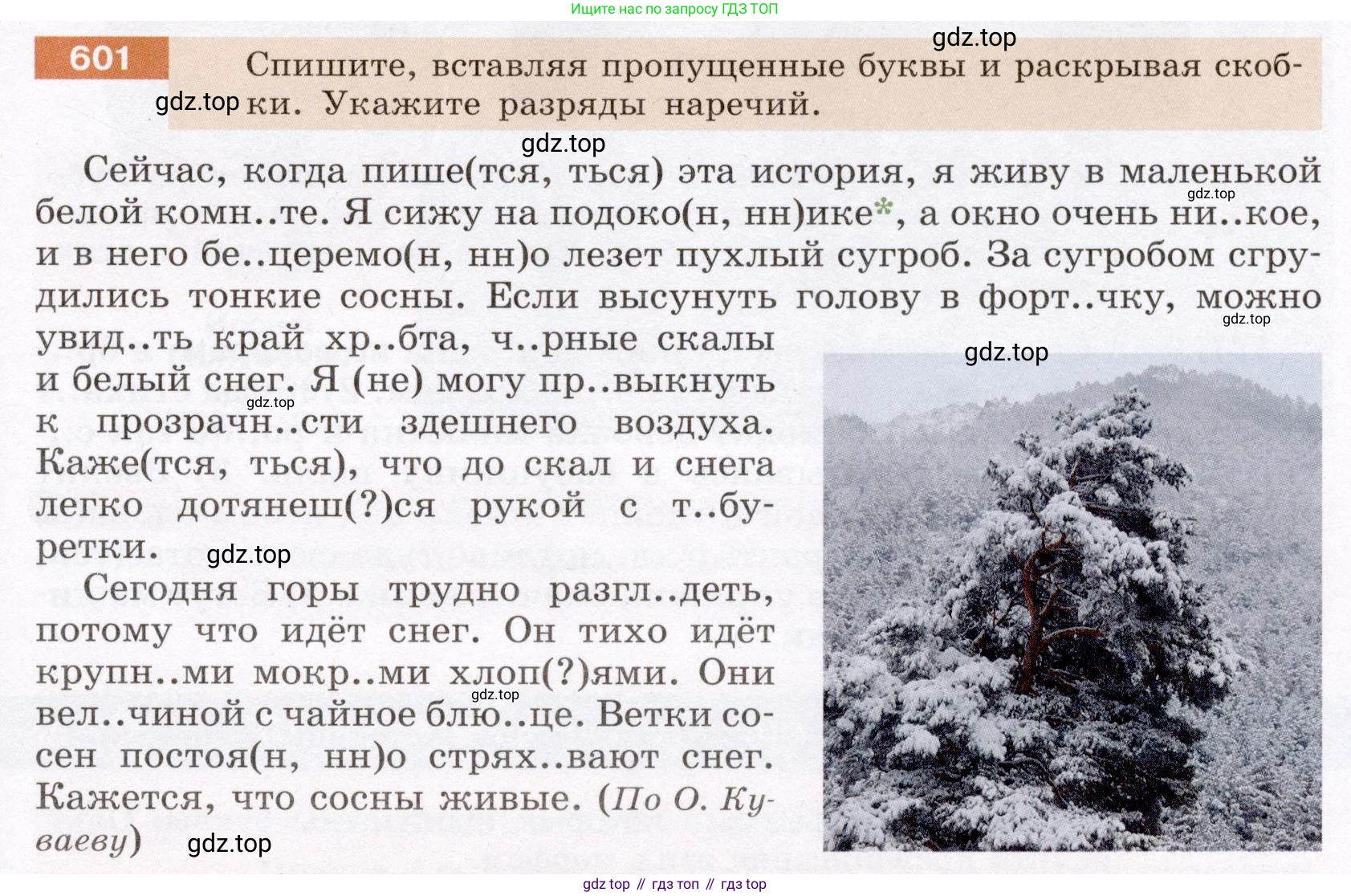 Русский язык, 6 класс Учебник, авторы: Разумовская Маргарита Михайловна, Львова Светлана Ивановна, Капинос Валентина Ивановна, Львов Валентин Витальевич, Соловейчик Марина Сергеевна, Сергеева Наталья Николаевна, Тронина Татьяна Сергеевна, издательство Просвещение, Москва, 2023, белого цвета, Часть 2, страница 76, номер 601, Условие (2022)