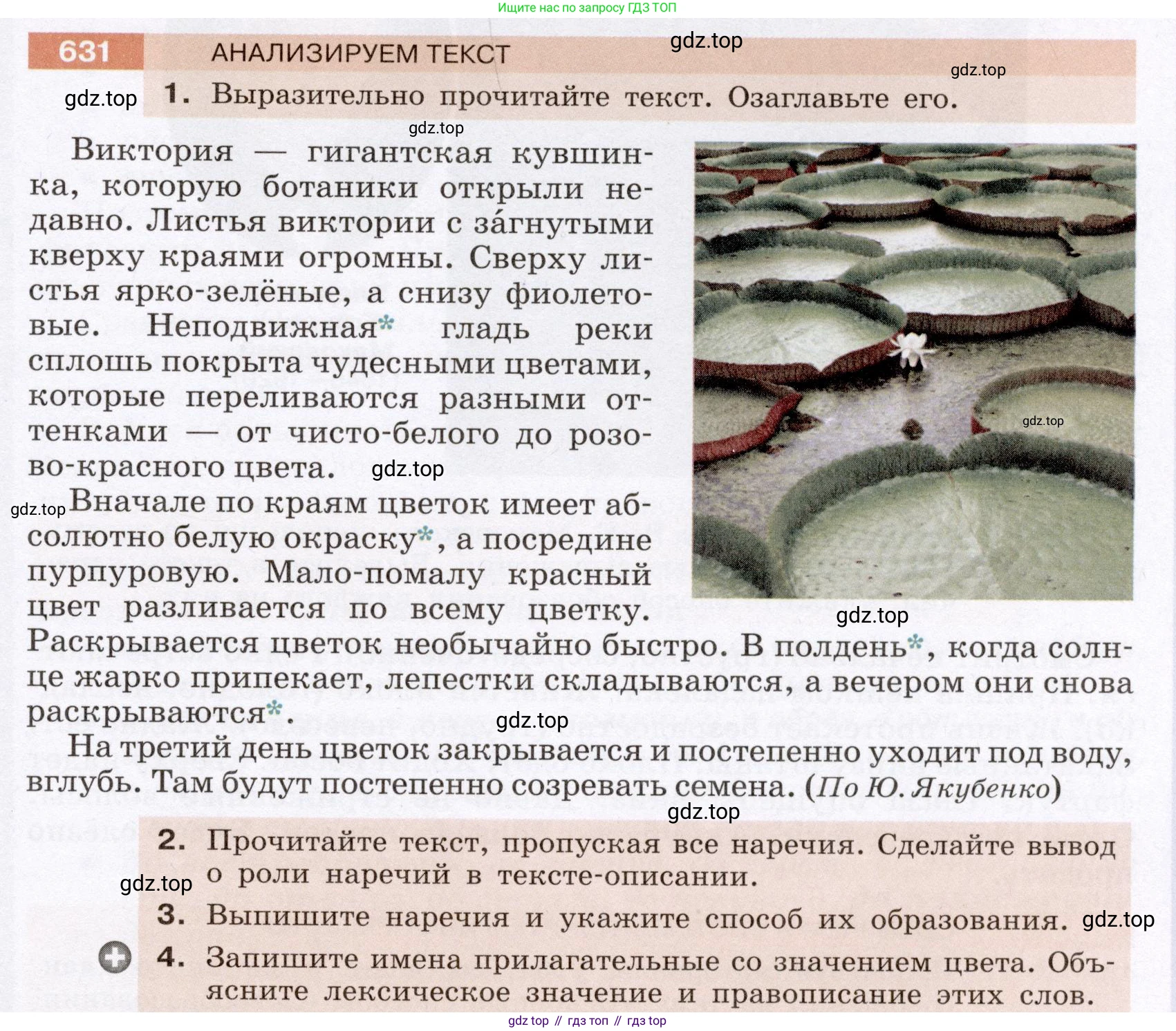 Русский язык, 6 класс Учебник, авторы: Разумовская Маргарита Михайловна, Львова Светлана Ивановна, Капинос Валентина Ивановна, Львов Валентин Витальевич, Соловейчик Марина Сергеевна, Сергеева Наталья Николаевна, Тронина Татьяна Сергеевна, издательство Просвещение, Москва, 2023, белого цвета, Часть 2, страница 88, номер 631, Условие (2022)