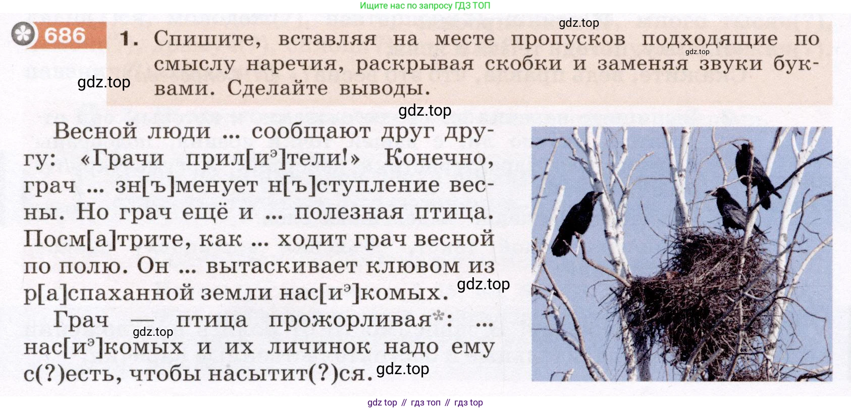Русский язык, 6 класс Учебник, авторы: Разумовская Маргарита Михайловна, Львова Светлана Ивановна, Капинос Валентина Ивановна, Львов Валентин Витальевич, Соловейчик Марина Сергеевна, Сергеева Наталья Николаевна, Тронина Татьяна Сергеевна, издательство Просвещение, Москва, 2023, белого цвета, Часть 2, страница 113, номер 686, Условие (2022)