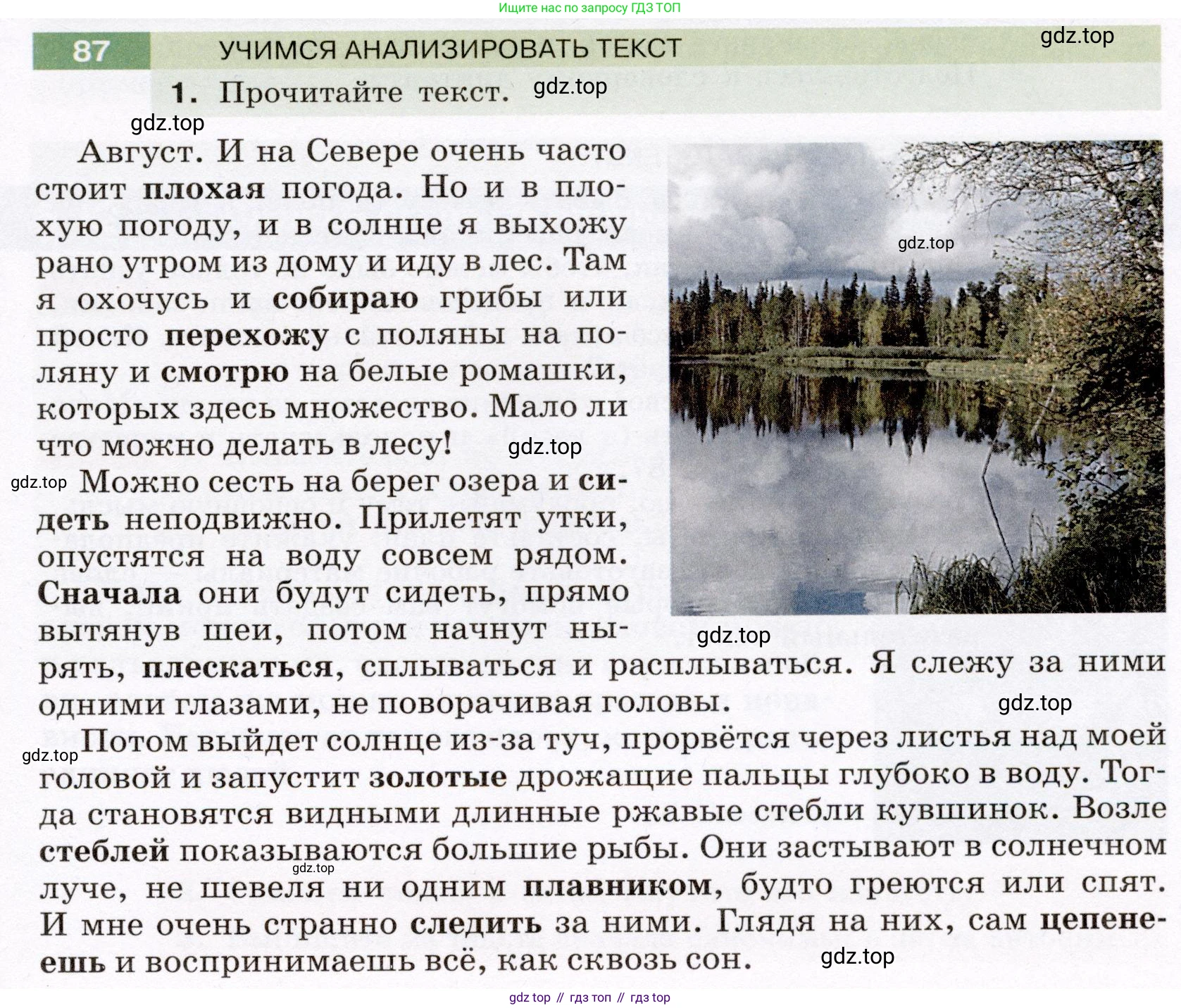 Русский язык, 6 класс Учебник, авторы: Разумовская Маргарита Михайловна, Львова Светлана Ивановна, Капинос Валентина Ивановна, Львов Валентин Витальевич, Соловейчик Марина Сергеевна, Сергеева Наталья Николаевна, Тронина Татьяна Сергеевна, издательство Просвещение, Москва, 2023, белого цвета, Часть 1, страница 37, номер 87, Условие (2022)