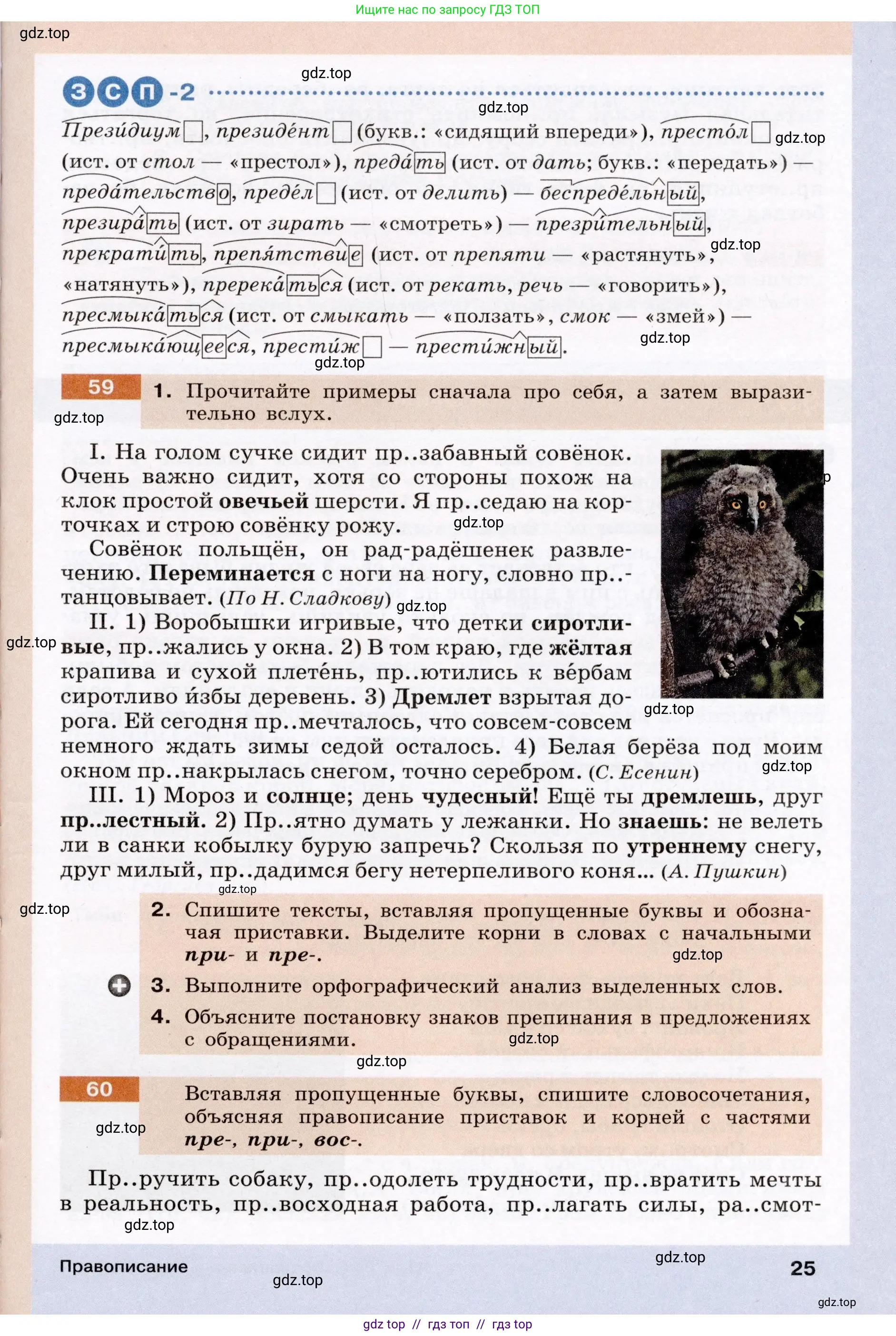 Условие (2022)