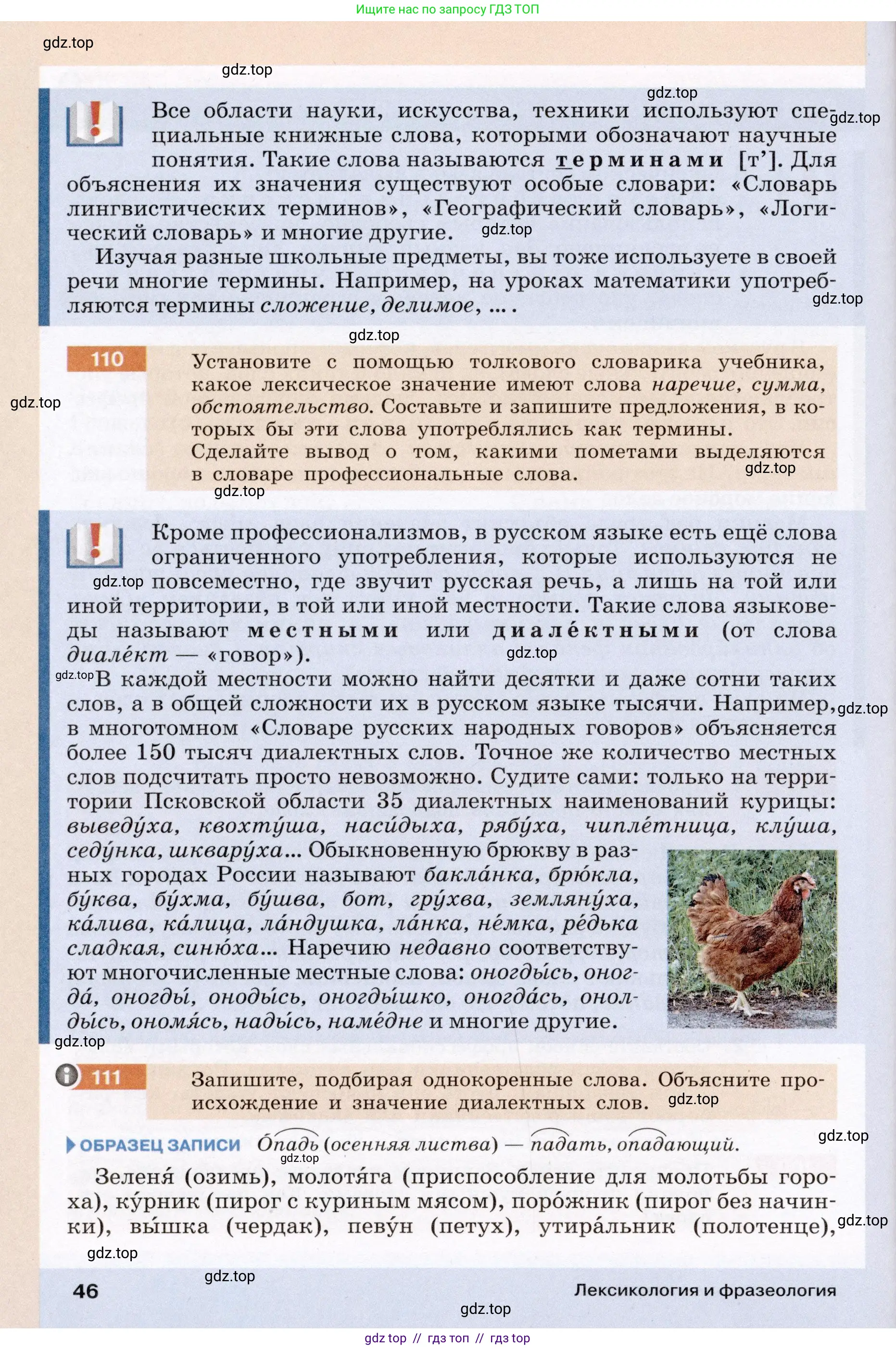 Условие (2022)