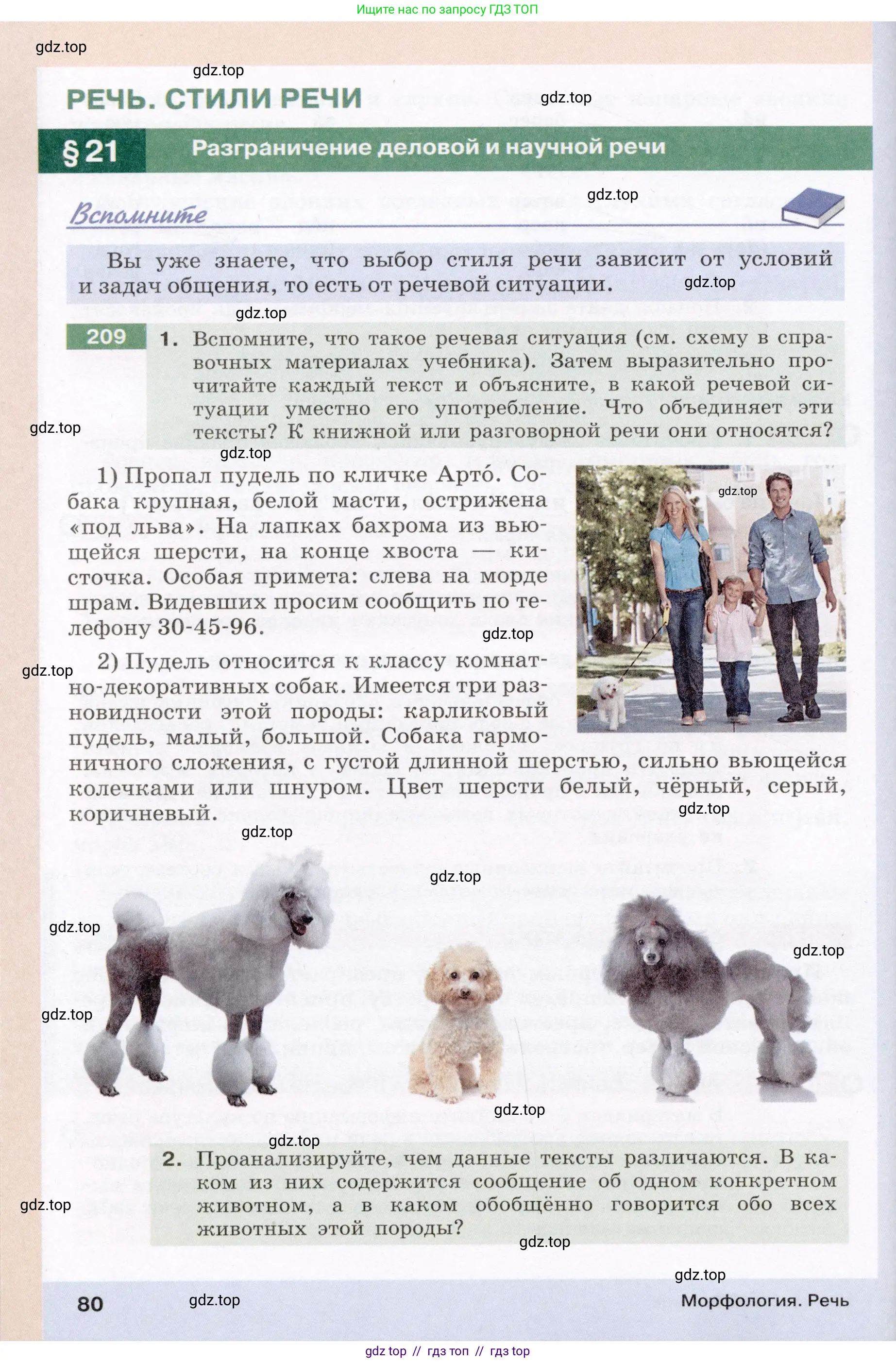 Условие (2022)