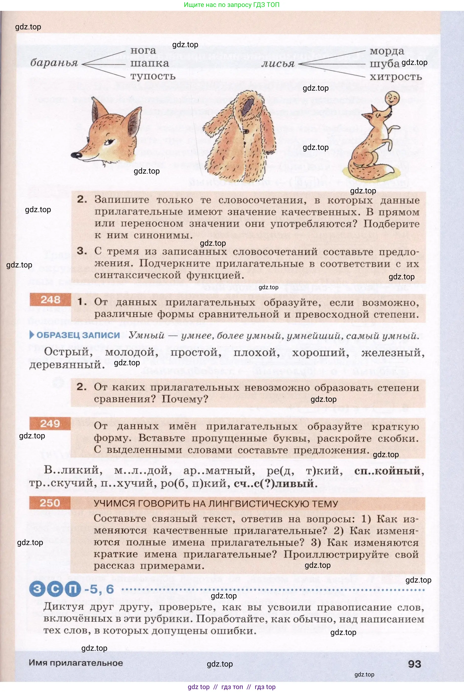 Условие (2022)