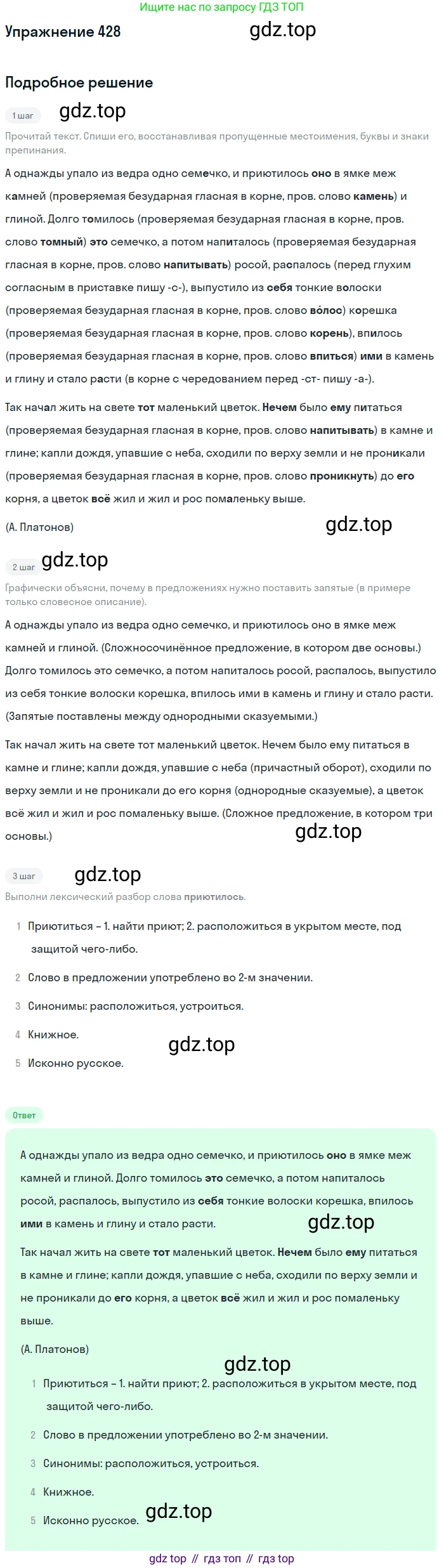 Русский язык, 6 класс Учебник, авторы: Разумовская Маргарита Михайловна, Львова Светлана Ивановна, Капинос Валентина Ивановна, Львов Валентин Витальевич, Соловейчик Марина Сергеевна, Сергеева Наталья Николаевна, Тронина Татьяна Сергеевна, издательство Просвещение, Москва, 2023, белого цвета, Часть 2, страница 11, номер 428, Решение 1 (2022)