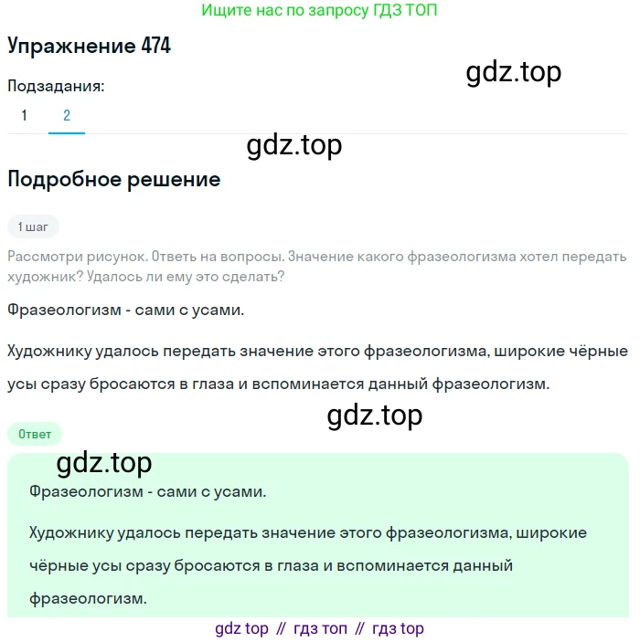 Русский язык, 6 класс Учебник, авторы: Разумовская Маргарита Михайловна, Львова Светлана Ивановна, Капинос Валентина Ивановна, Львов Валентин Витальевич, Соловейчик Марина Сергеевна, Сергеева Наталья Николаевна, Тронина Татьяна Сергеевна, издательство Просвещение, Москва, 2023, белого цвета, Часть 2, страница 29, номер 474, Решение 1 (2022) (продолжение 2)