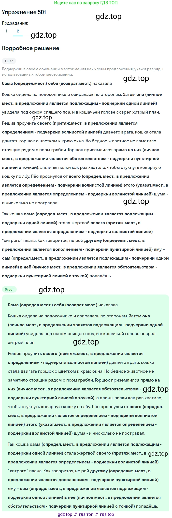 Русский язык, 6 класс Учебник, авторы: Разумовская Маргарита Михайловна, Львова Светлана Ивановна, Капинос Валентина Ивановна, Львов Валентин Витальевич, Соловейчик Марина Сергеевна, Сергеева Наталья Николаевна, Тронина Татьяна Сергеевна, издательство Просвещение, Москва, 2023, белого цвета, Часть 2, страница 40, номер 501, Решение 1 (2022) (продолжение 2)
