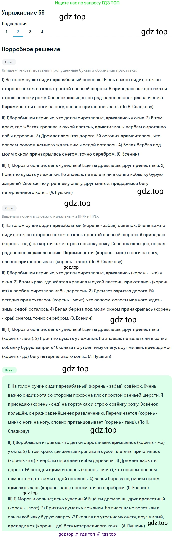 Русский язык, 6 класс Учебник, авторы: Разумовская Маргарита Михайловна, Львова Светлана Ивановна, Капинос Валентина Ивановна, Львов Валентин Витальевич, Соловейчик Марина Сергеевна, Сергеева Наталья Николаевна, Тронина Татьяна Сергеевна, издательство Просвещение, Москва, 2023, белого цвета, Часть 1, страница 27, номер 59, Решение 1 (2022) (продолжение 2)
