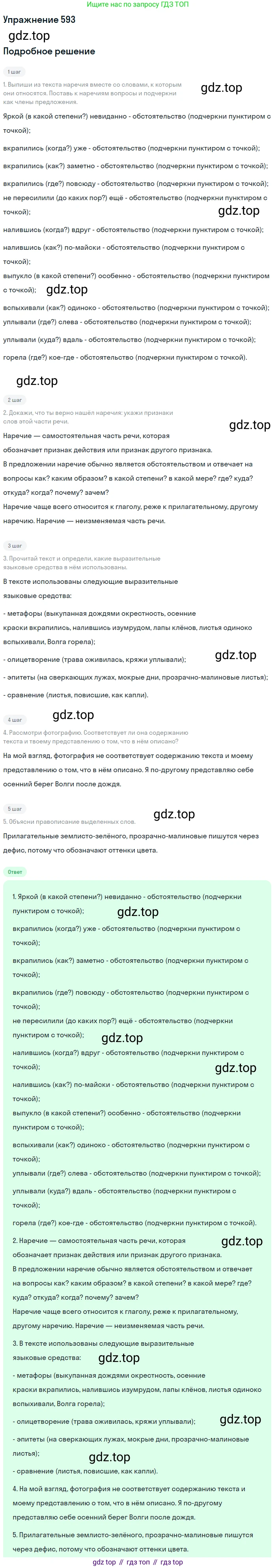 Русский язык, 6 класс Учебник, авторы: Разумовская Маргарита Михайловна, Львова Светлана Ивановна, Капинос Валентина Ивановна, Львов Валентин Витальевич, Соловейчик Марина Сергеевна, Сергеева Наталья Николаевна, Тронина Татьяна Сергеевна, издательство Просвещение, Москва, 2023, белого цвета, Часть 2, страница 73, номер 593, Решение 1 (2022)