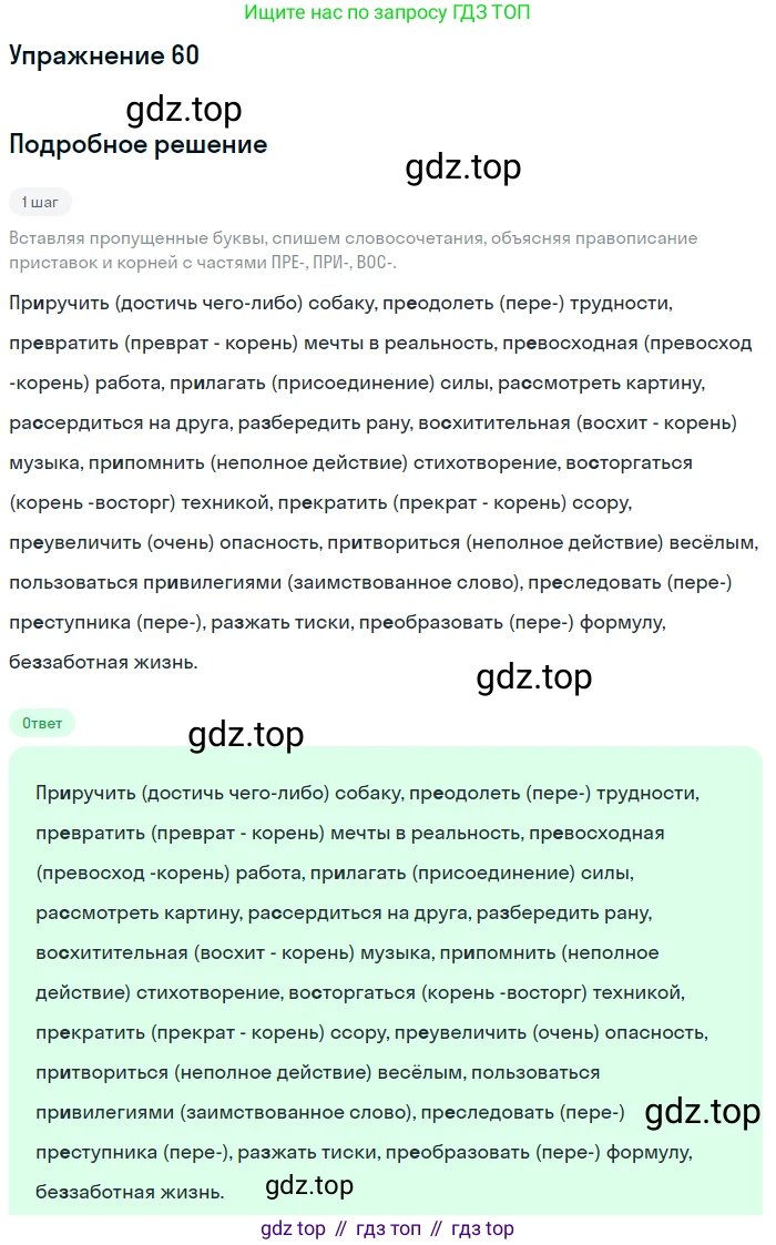 Русский язык, 6 класс Учебник, авторы: Разумовская Маргарита Михайловна, Львова Светлана Ивановна, Капинос Валентина Ивановна, Львов Валентин Витальевич, Соловейчик Марина Сергеевна, Сергеева Наталья Николаевна, Тронина Татьяна Сергеевна, издательство Просвещение, Москва, 2023, белого цвета, Часть 1, страница 28, номер 60, Решение 1 (2022)