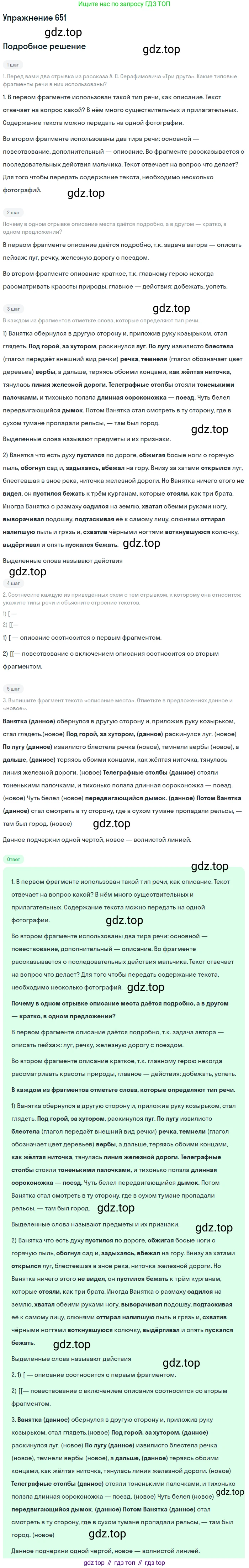 Русский язык, 6 класс Учебник, авторы: Разумовская Маргарита Михайловна, Львова Светлана Ивановна, Капинос Валентина Ивановна, Львов Валентин Витальевич, Соловейчик Марина Сергеевна, Сергеева Наталья Николаевна, Тронина Татьяна Сергеевна, издательство Просвещение, Москва, 2023, белого цвета, Часть 2, страница 96, номер 651, Решение 1 (2022)