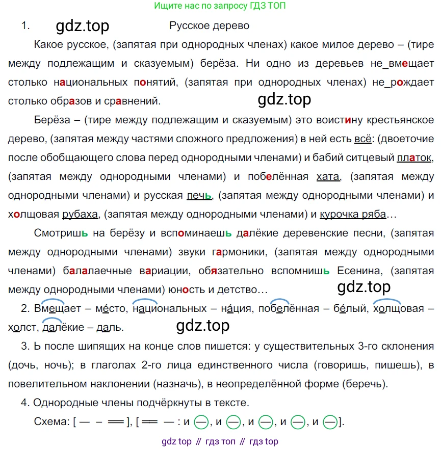 Русский язык, 6 класс Учебник, авторы: Разумовская Маргарита Михайловна, Львова Светлана Ивановна, Капинос Валентина Ивановна, Львов Валентин Витальевич, Соловейчик Марина Сергеевна, Сергеева Наталья Николаевна, Тронина Татьяна Сергеевна, издательство Просвещение, Москва, 2023, белого цвета, Часть 1, страница 17, номер 25, Решение 3 (2022)